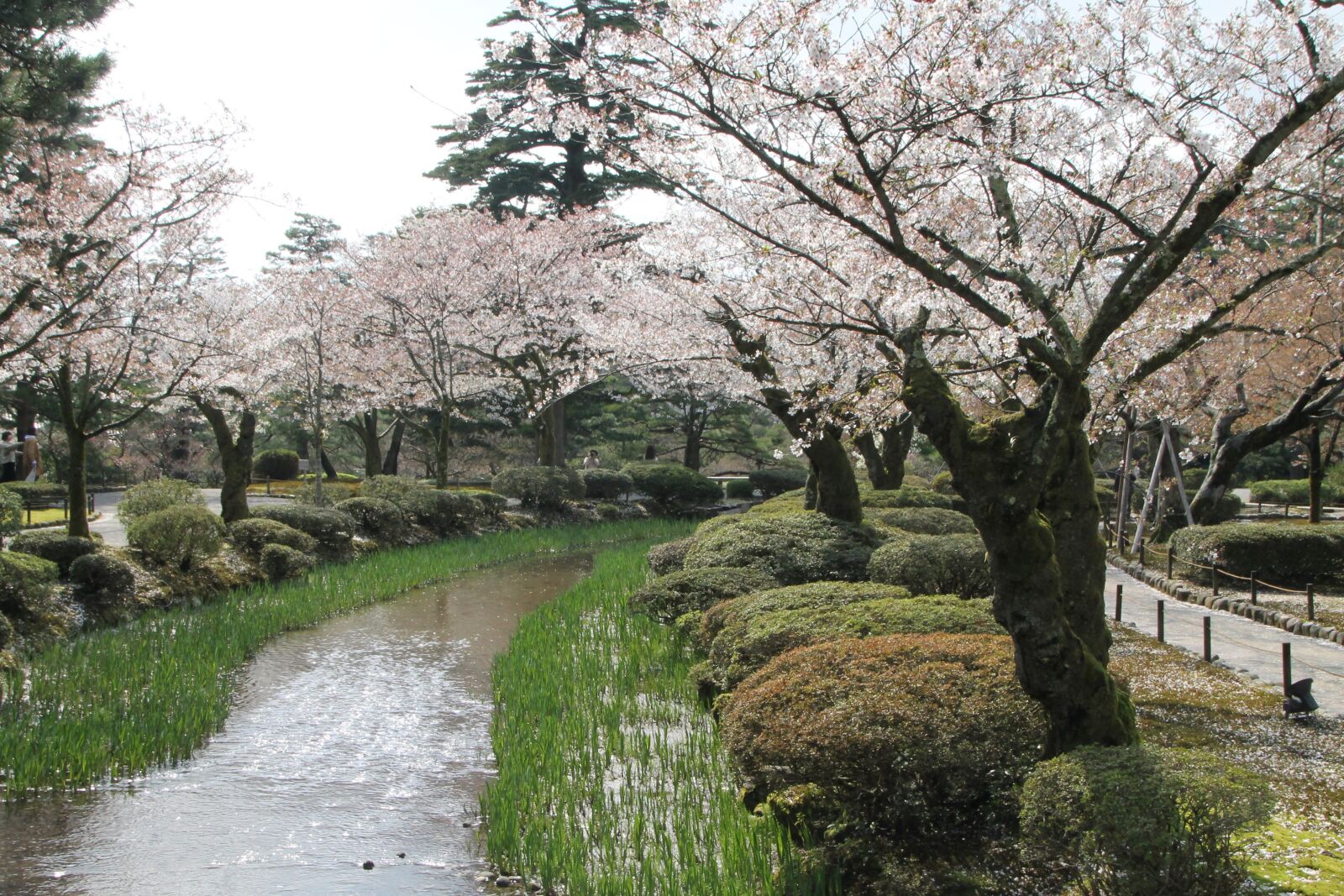 Canon EOS 1100D (EOS Rebel T3 / EOS Kiss X50) sample photo. Japan, path, water photography