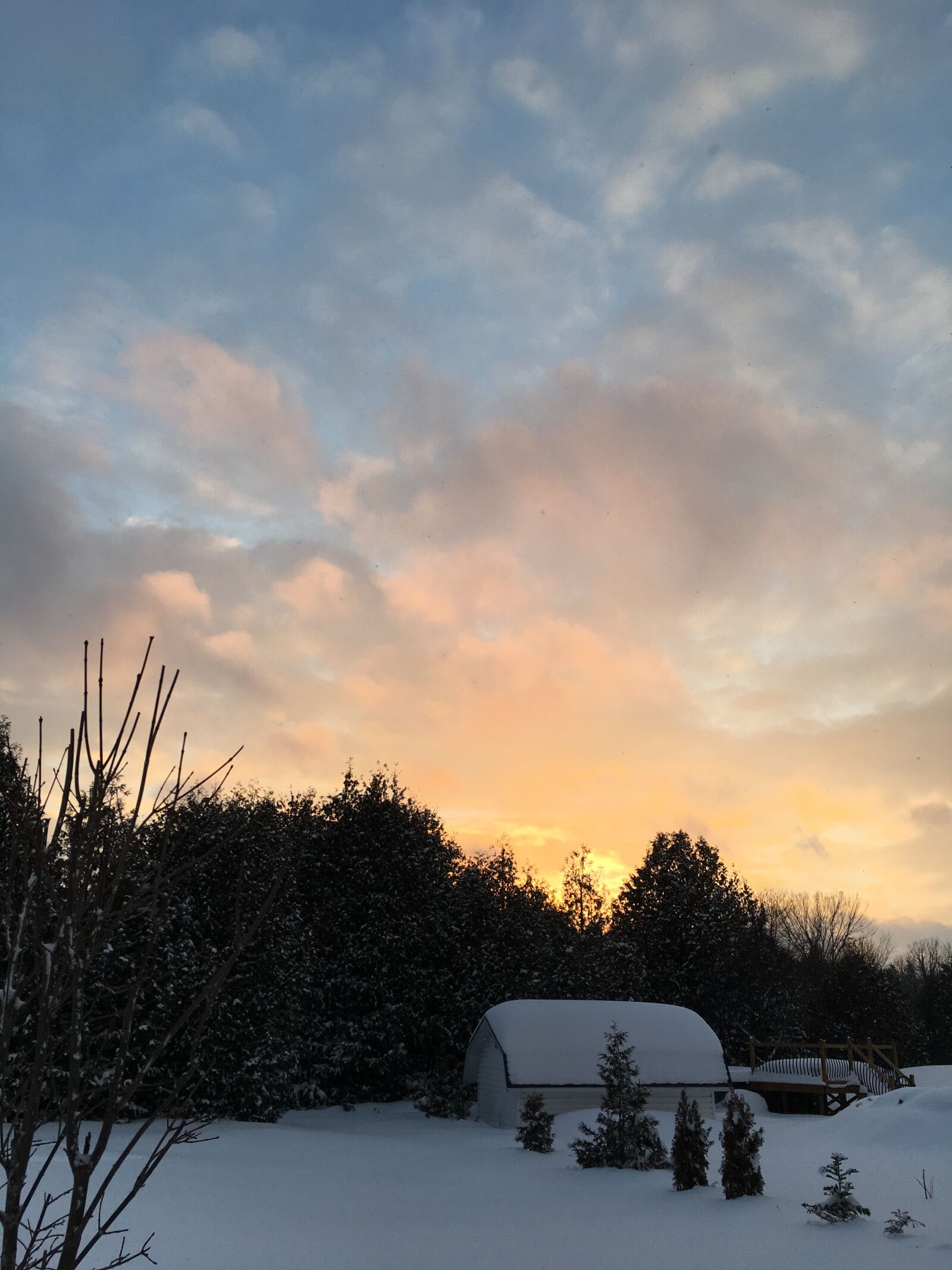 Apple iPhone 6s sample photo. Winter, subset, backyard photography