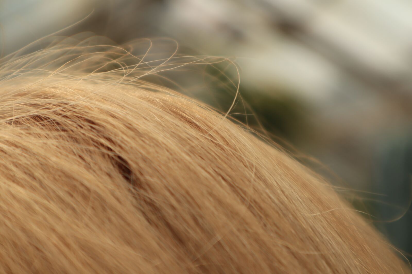 Canon EOS M100 sample photo. Hair, blonde, woman photography