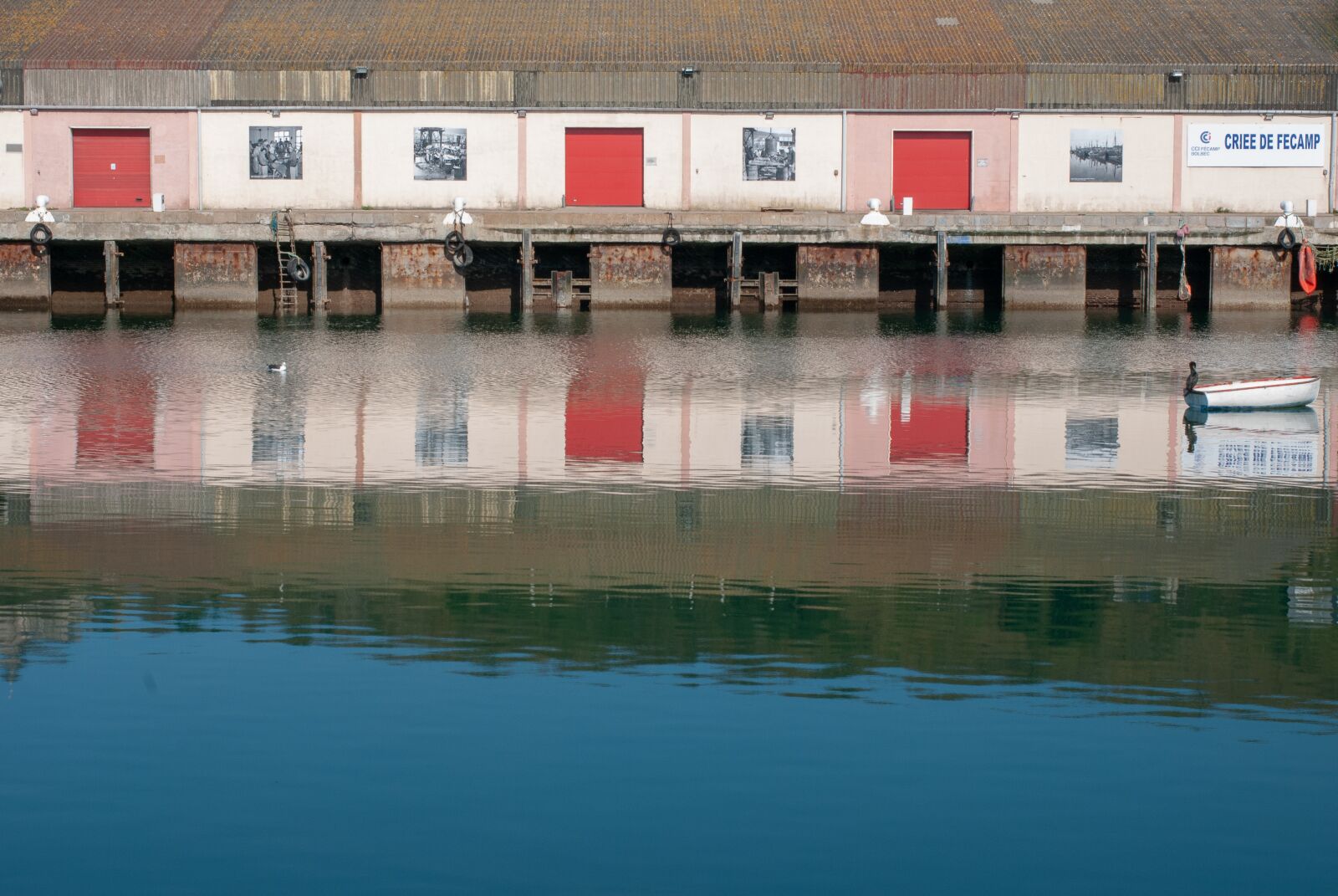 Nikon D80 sample photo. Fécamp, france, port photography