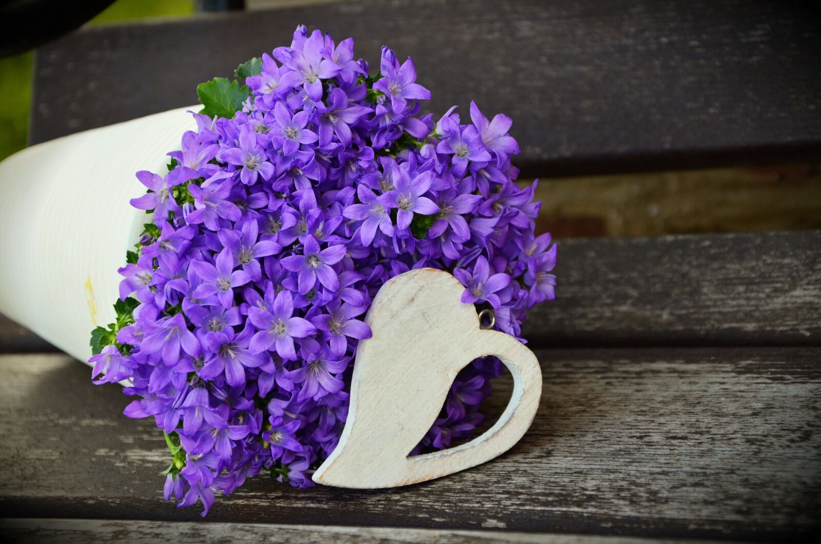 Nikon D5100 sample photo. Flowerpot, flower purple, mother's photography