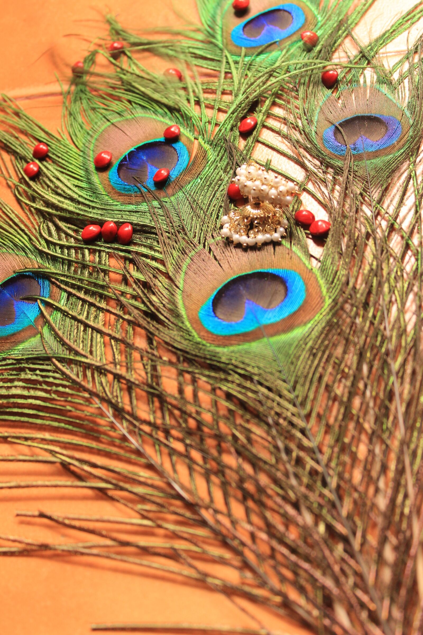 Canon EOS 600D (Rebel EOS T3i / EOS Kiss X5) sample photo. Peacock feather, peacock, abrus photography