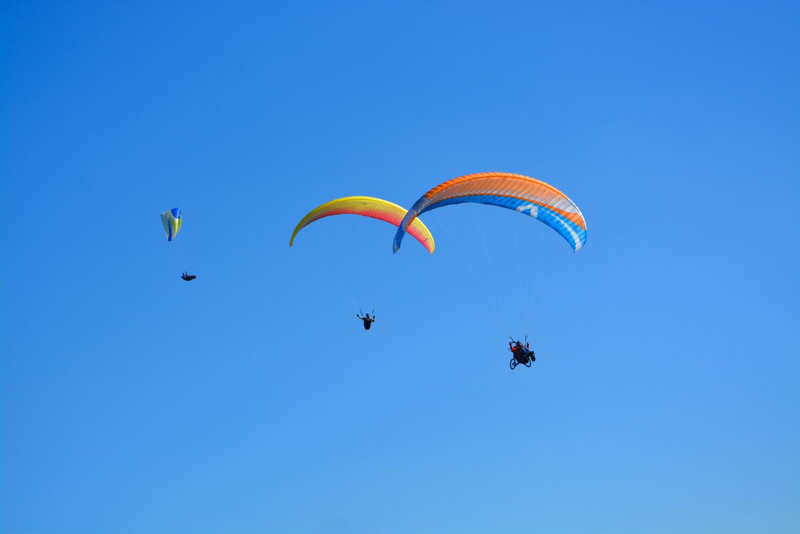 Nikon D5200 sample photo. Paragliders paragliders, blue sky photography