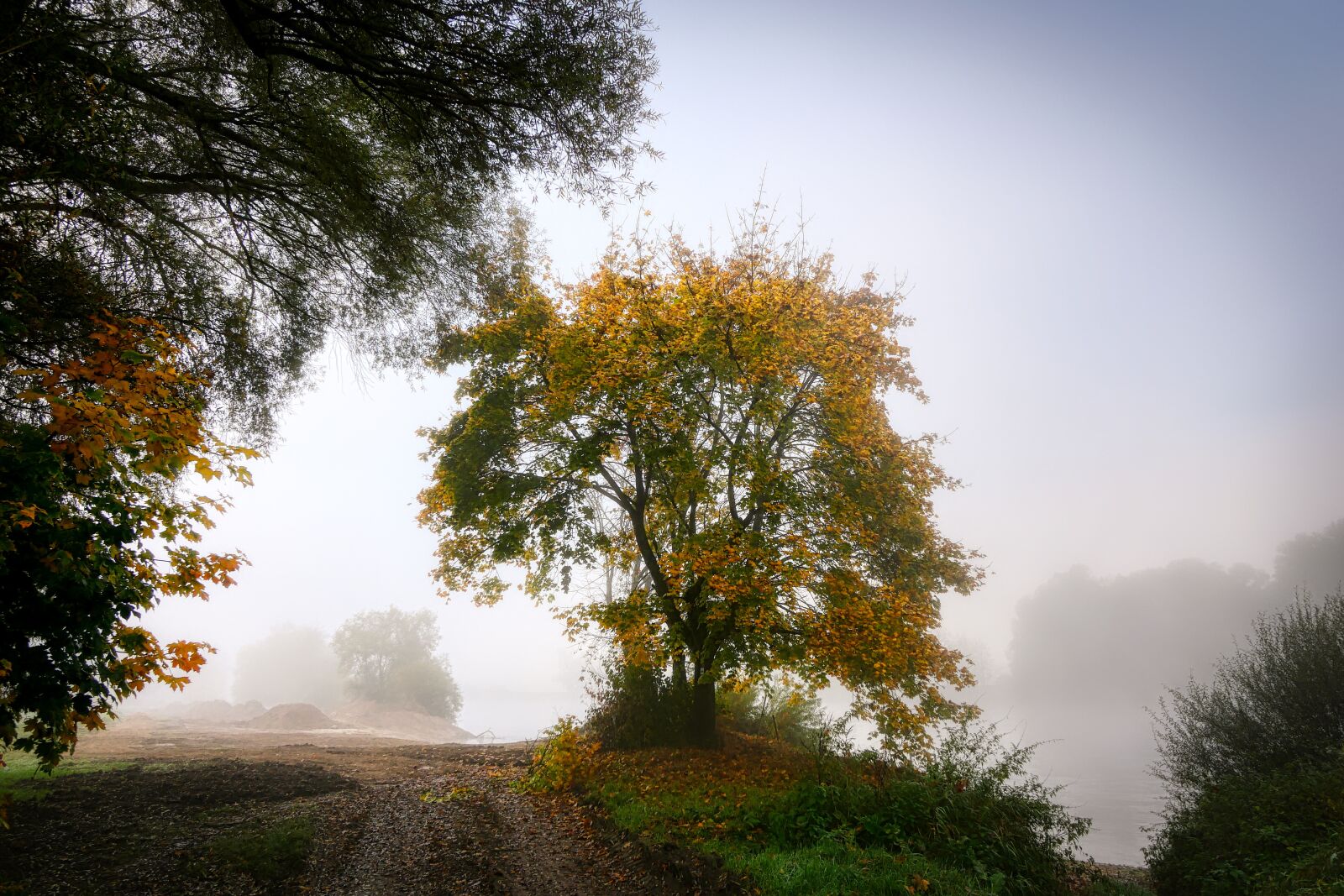 Panasonic Lumix DC-G90 (Lumix DC-G91) sample photo. Fog, river, water photography