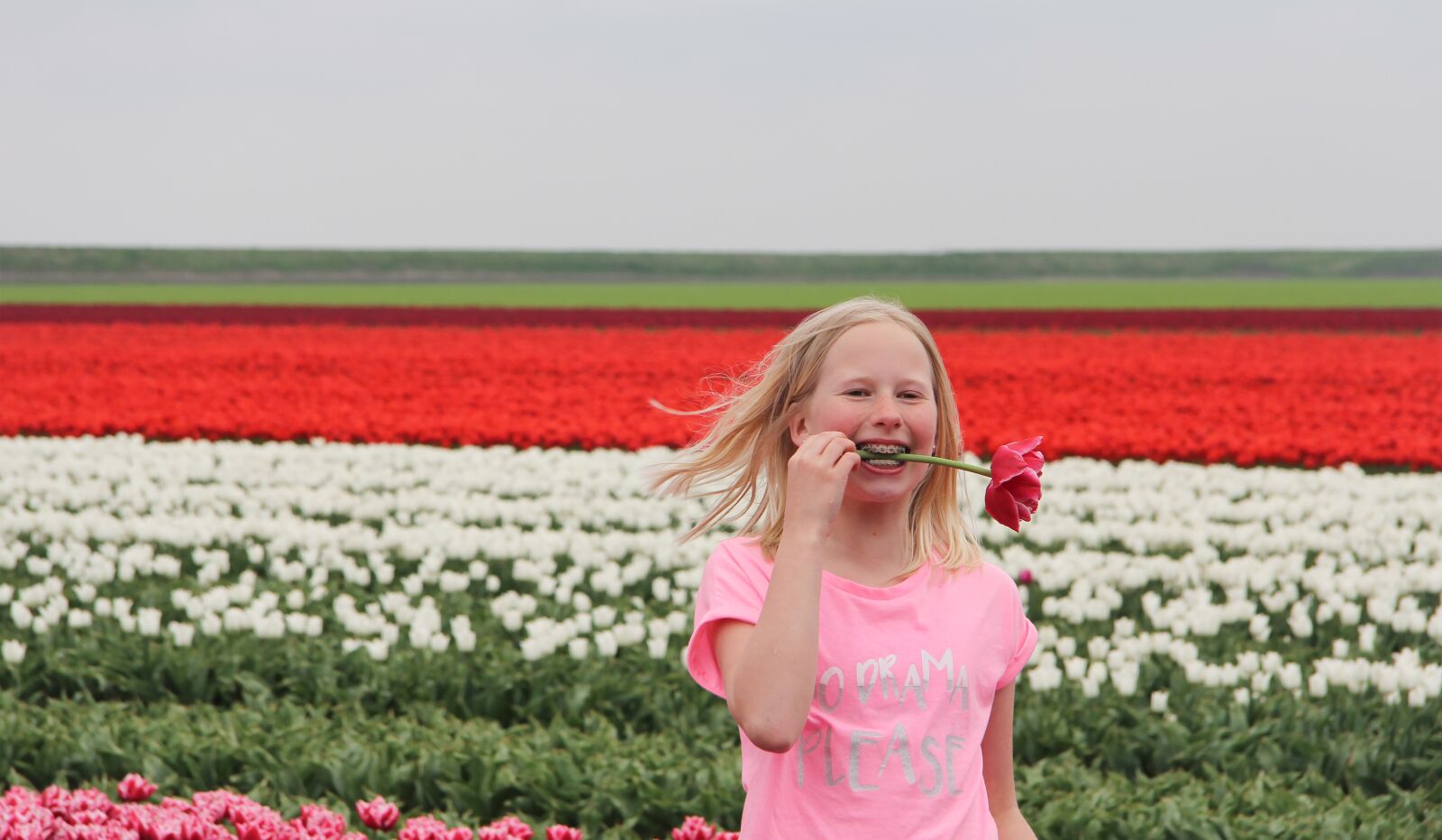 Canon EF-S 17-85mm F4-5.6 IS USM sample photo. Spring, dutch spring, tulips photography