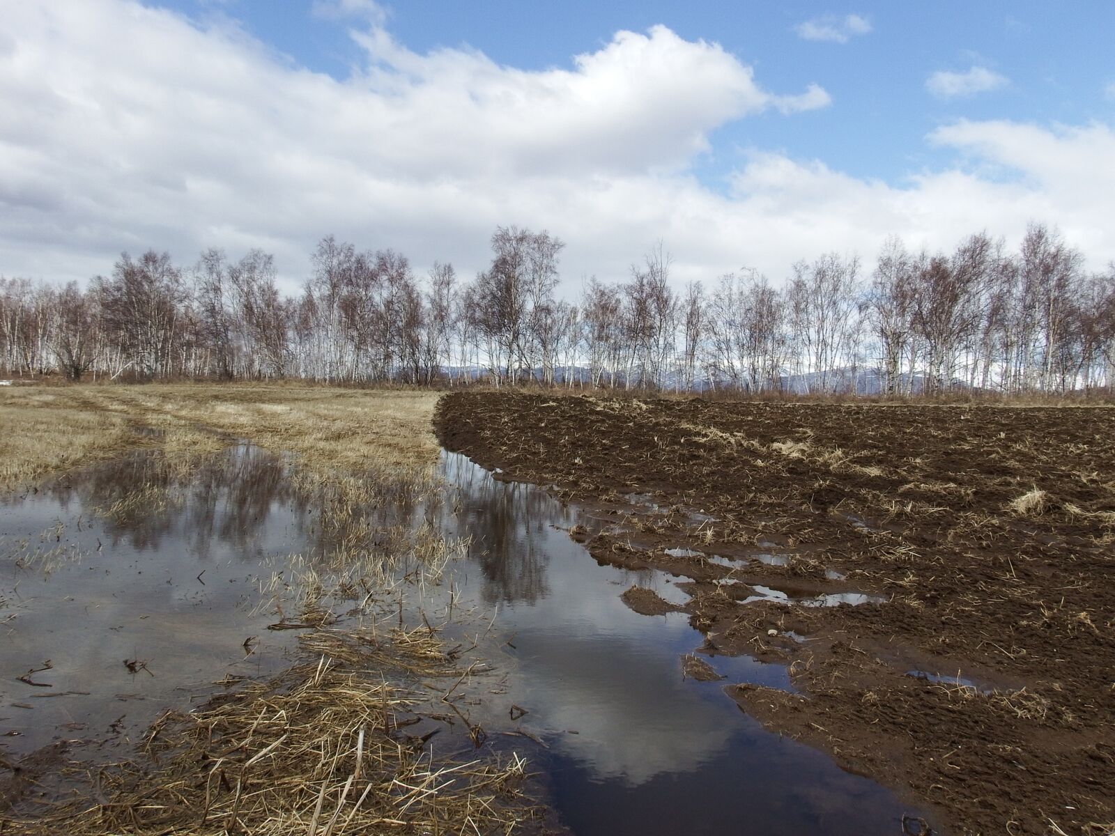 Fujifilm FinePix S1 sample photo. Fields, spring, plowing photography