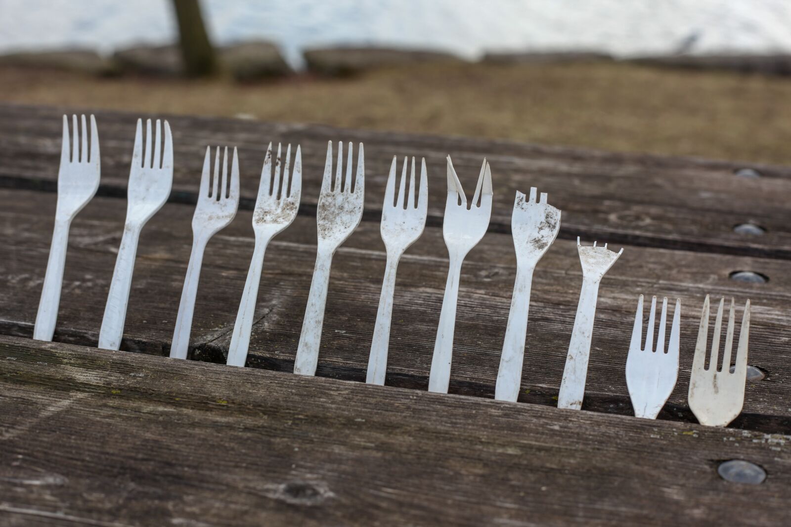 Canon EOS 5D Mark II sample photo. One way, forks, cutlery photography