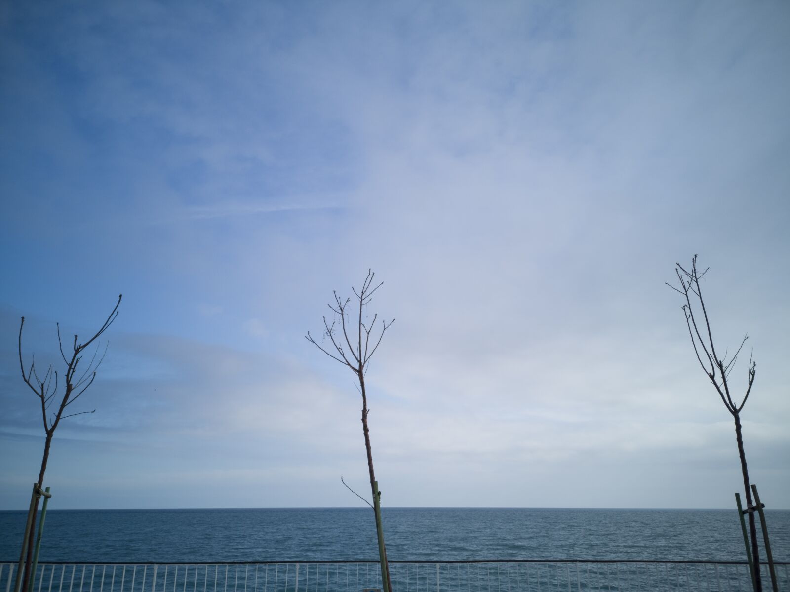 HUAWEI CLT-L09 sample photo. Landscape, tree, marine photography