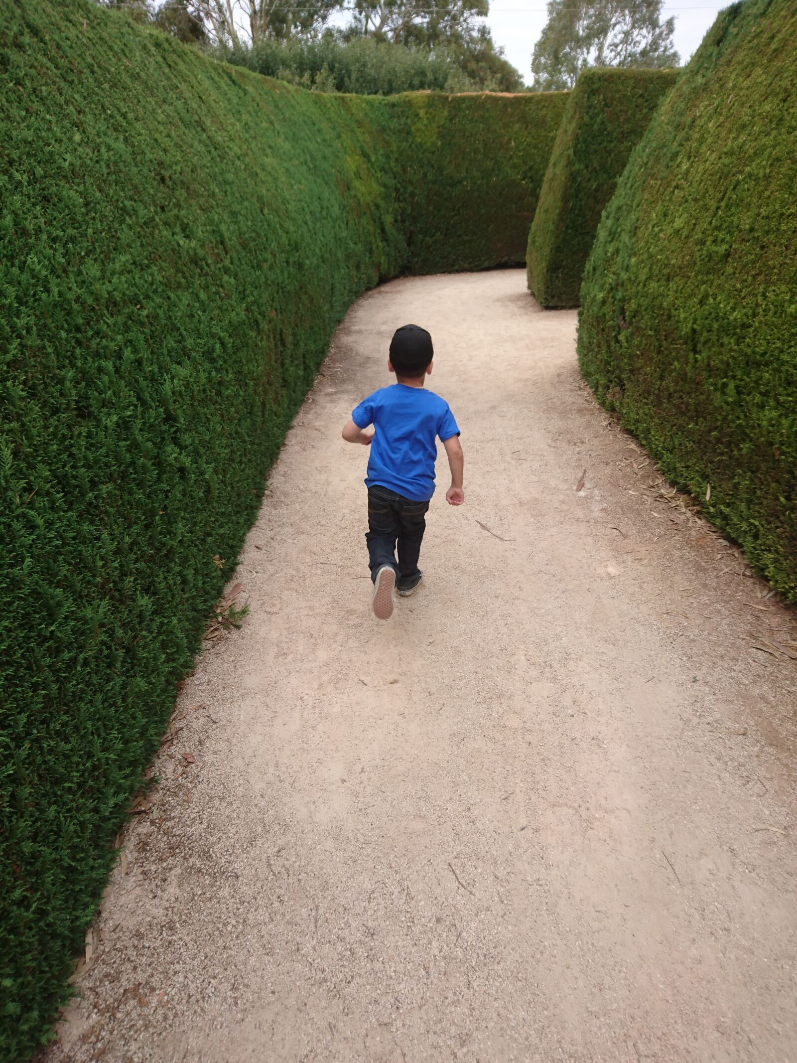 Sony Xperia Z5 sample photo. Fun, run, young photography