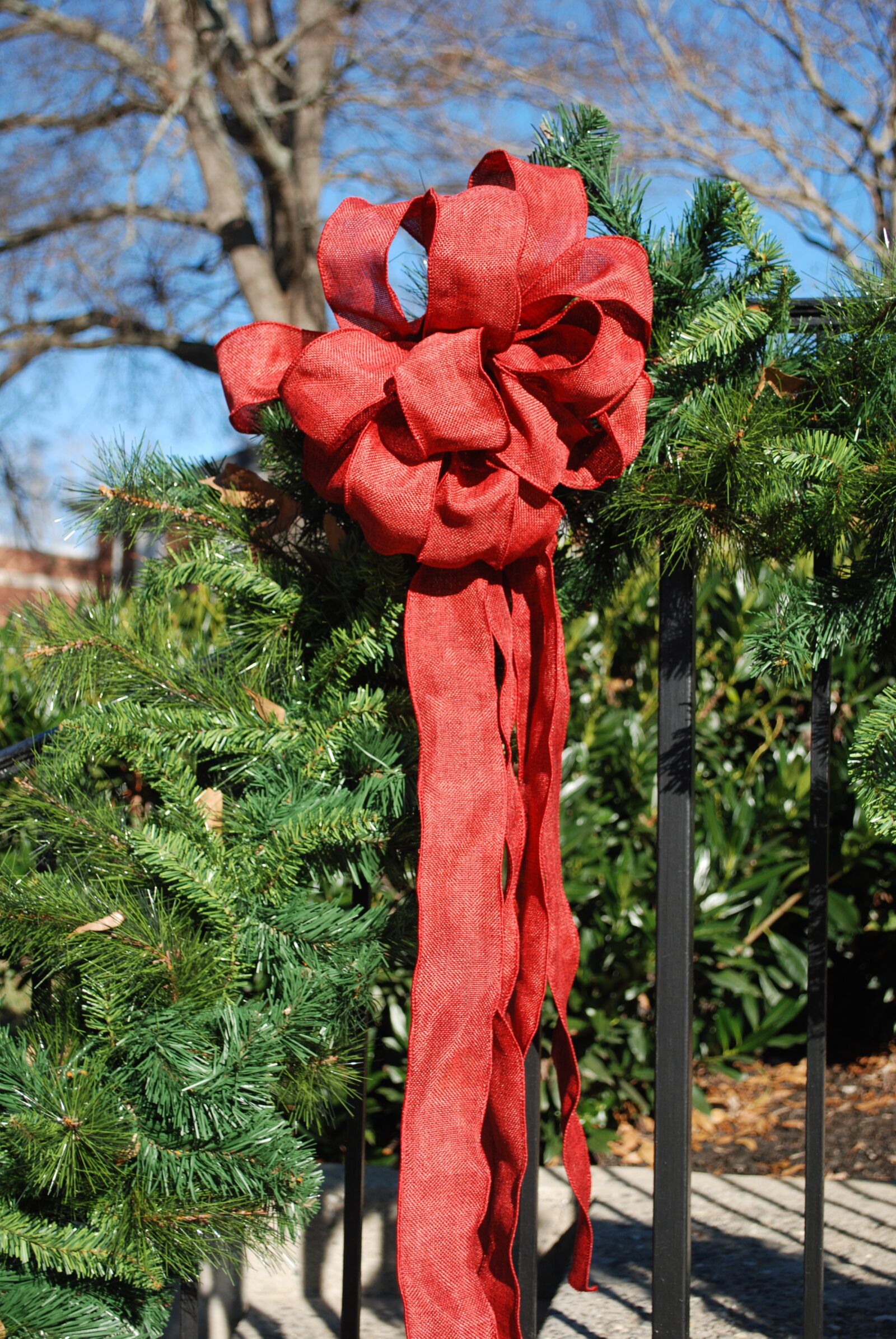 Nikon D60 sample photo. Loop, bow, christmas photography