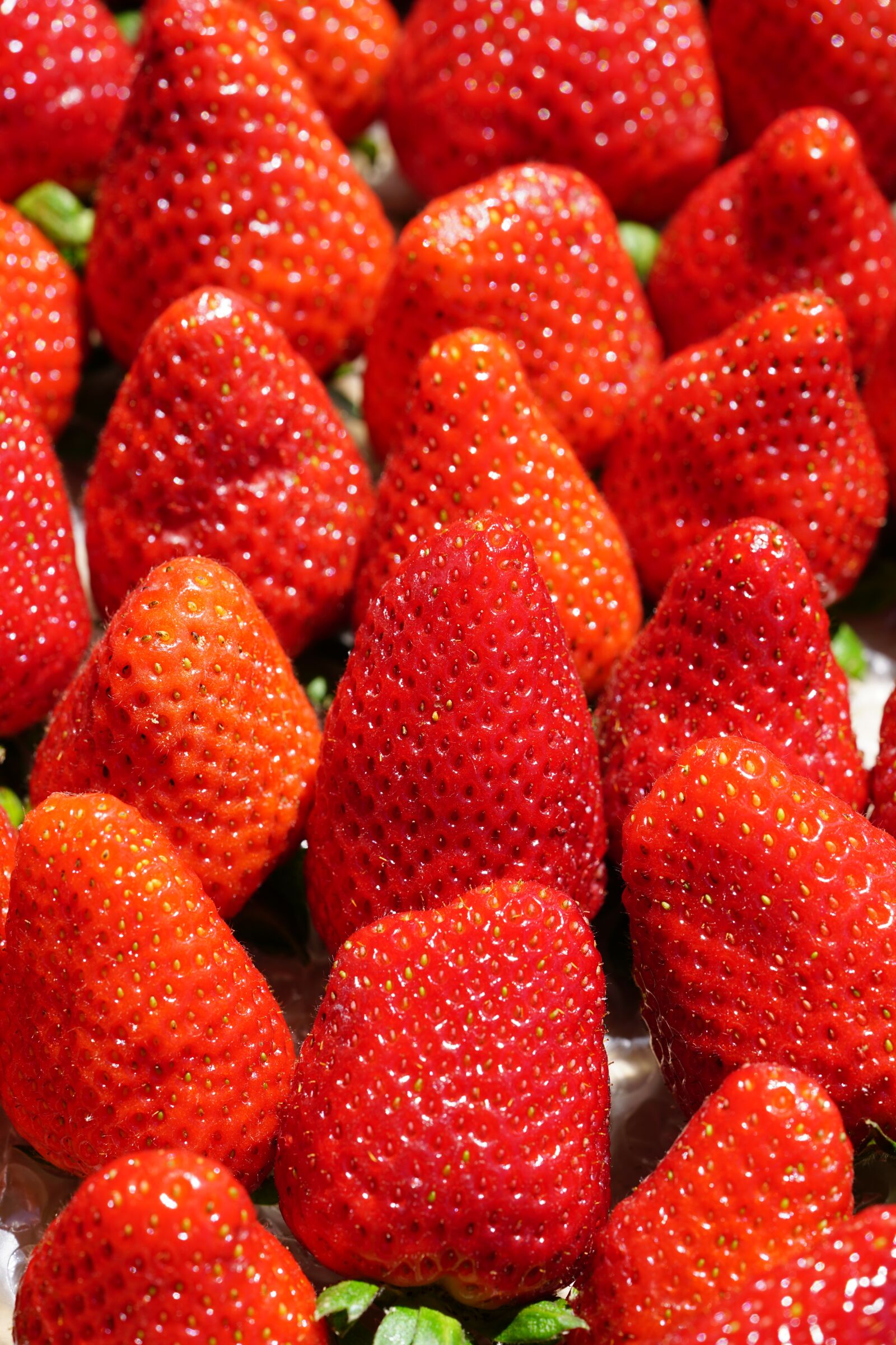 Sony a7R II + Sony FE 90mm F2.8 Macro G OSS sample photo. Strawberries, sweet, red photography