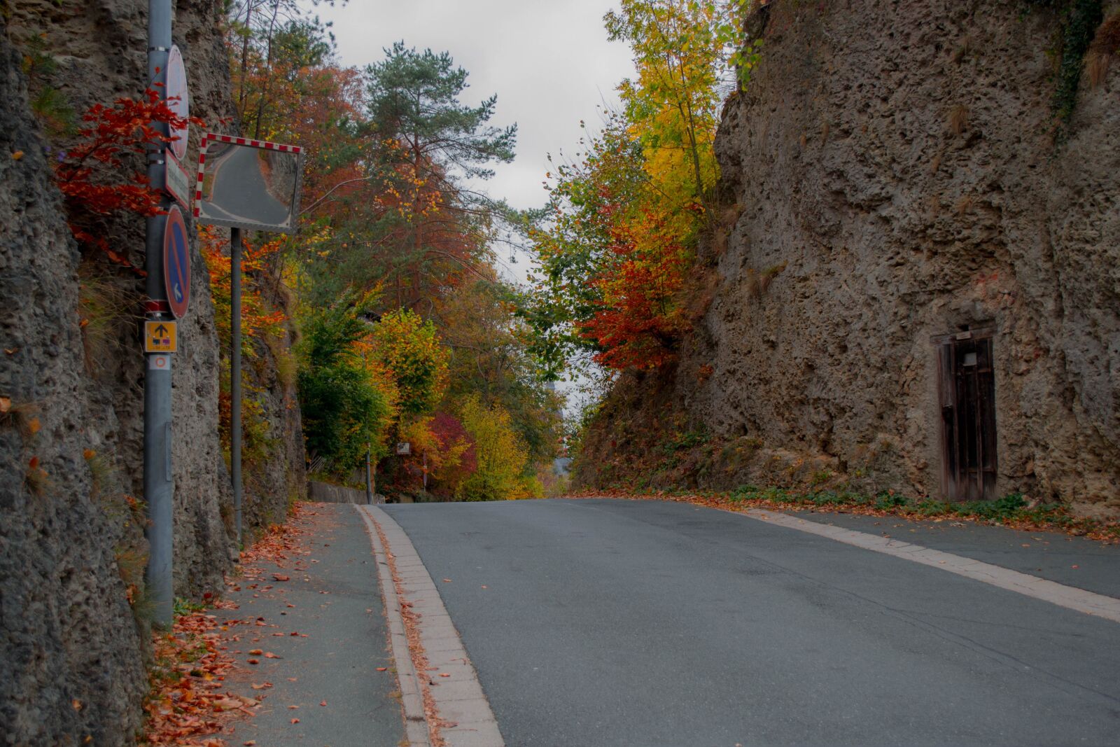 Nikon D3100 sample photo. Road, autumn, landscape photography