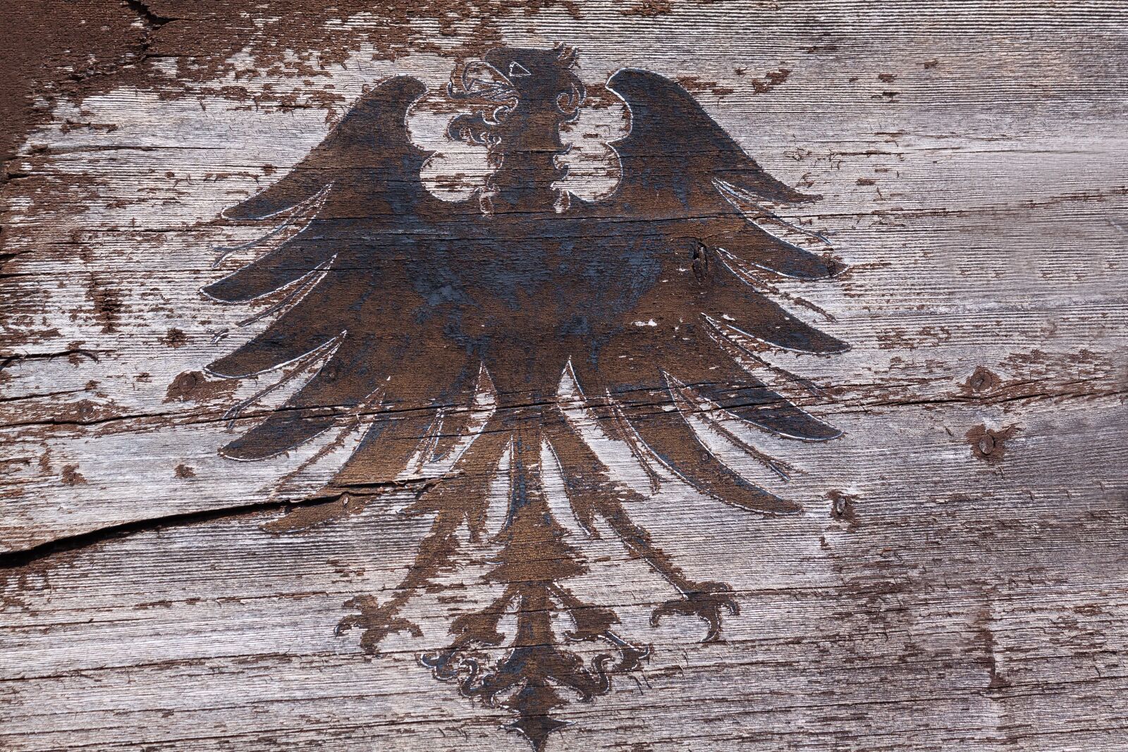 Canon EOS 50D sample photo. Adler, wood, old photography