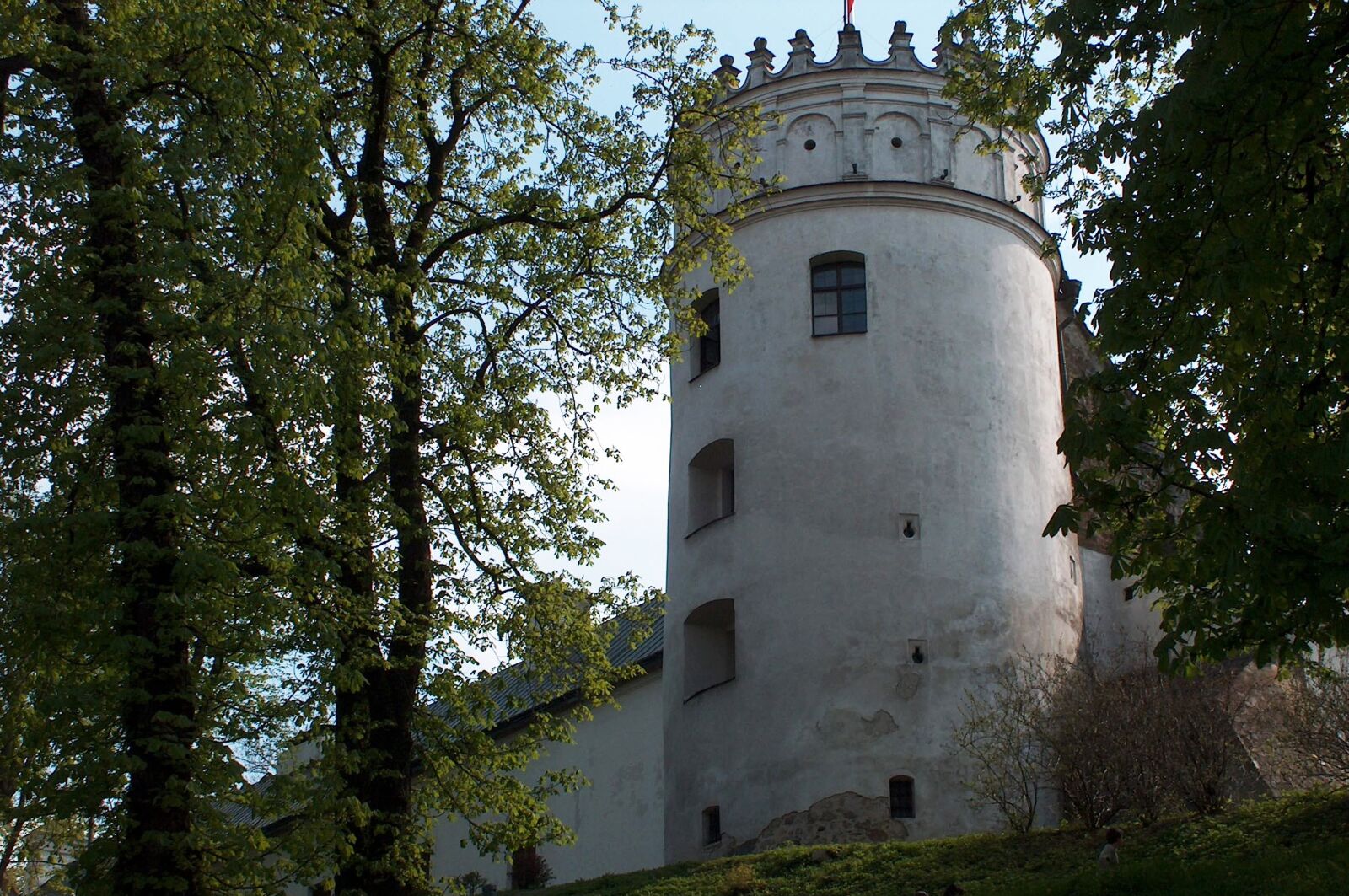 Nikon D90 sample photo. Think, castle, old photography
