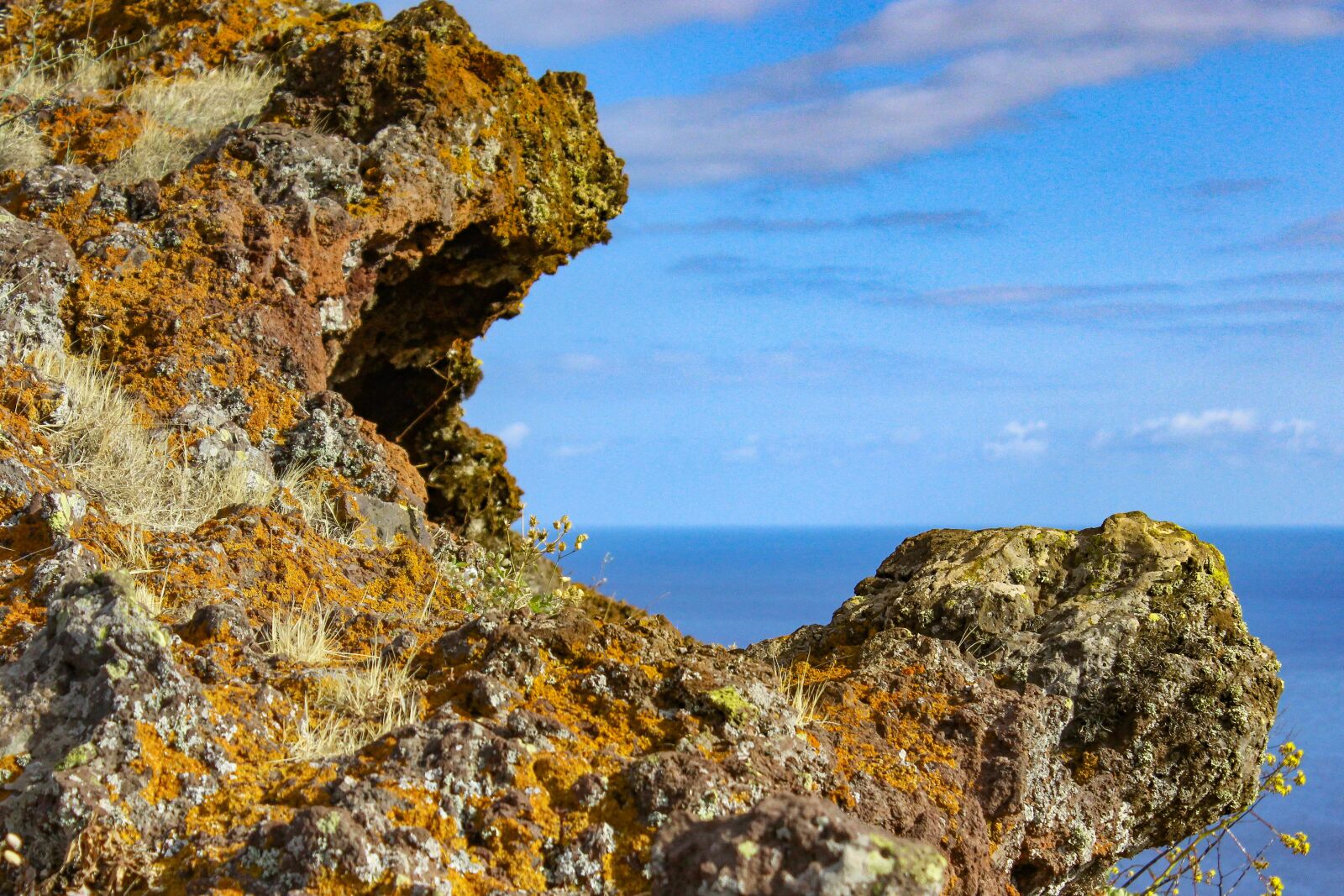 Canon EOS 600D (Rebel EOS T3i / EOS Kiss X5) sample photo. Atlantic, island, madeira photography