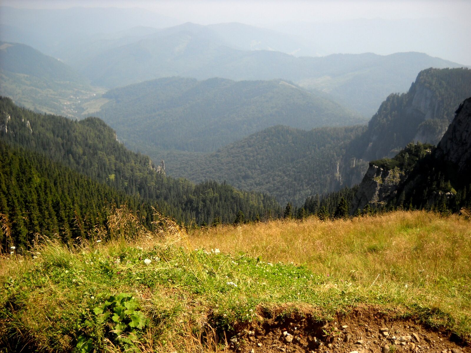 Nikon Coolpix L19 sample photo. Mountains, transylvania, nature photography