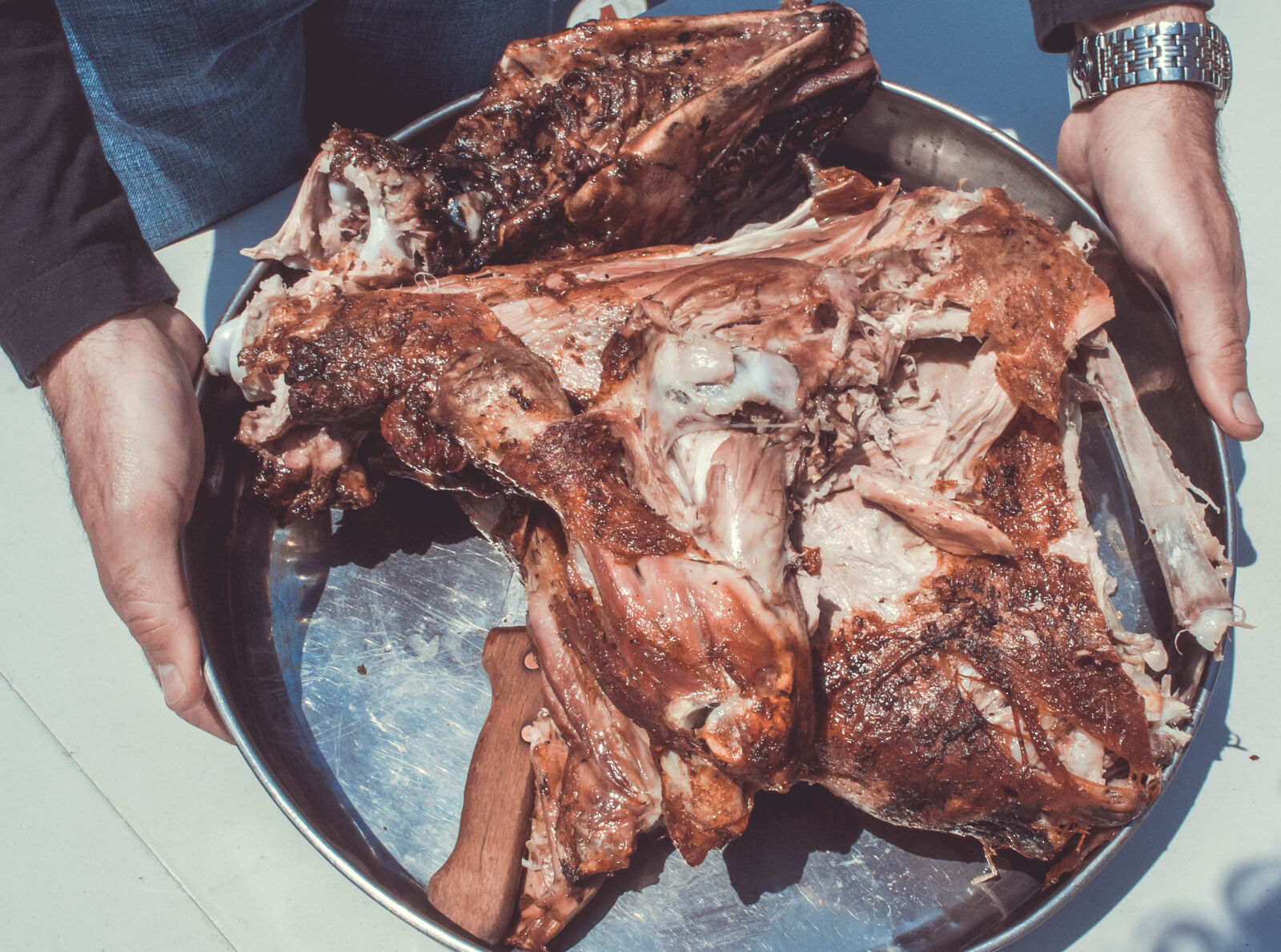 Nikon D3100 sample photo. Delicious, hands, holding, lamb photography