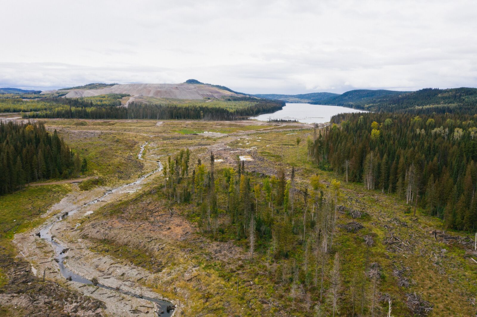 Hasselblad L1D-20c sample photo. Mount polley, hazeltine creek photography