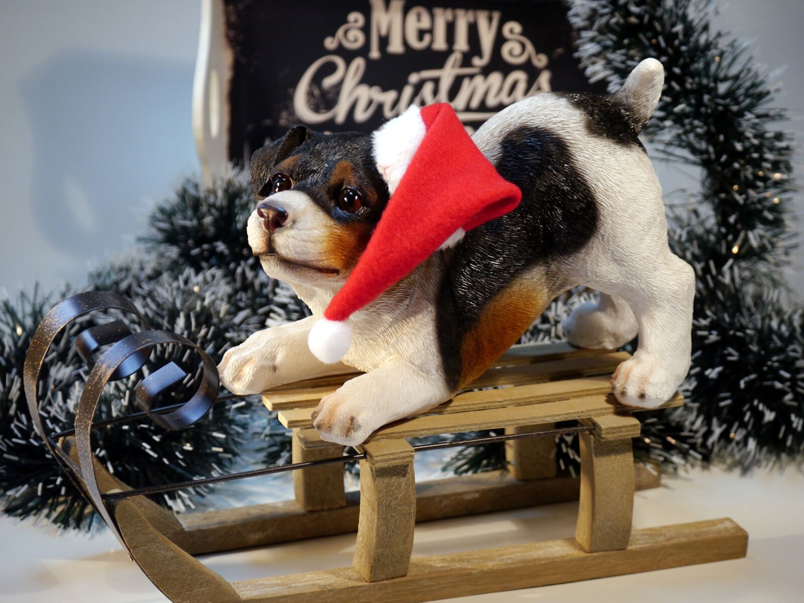 Panasonic Lumix DMC-G5 sample photo. Christmas, dog, winter photography
