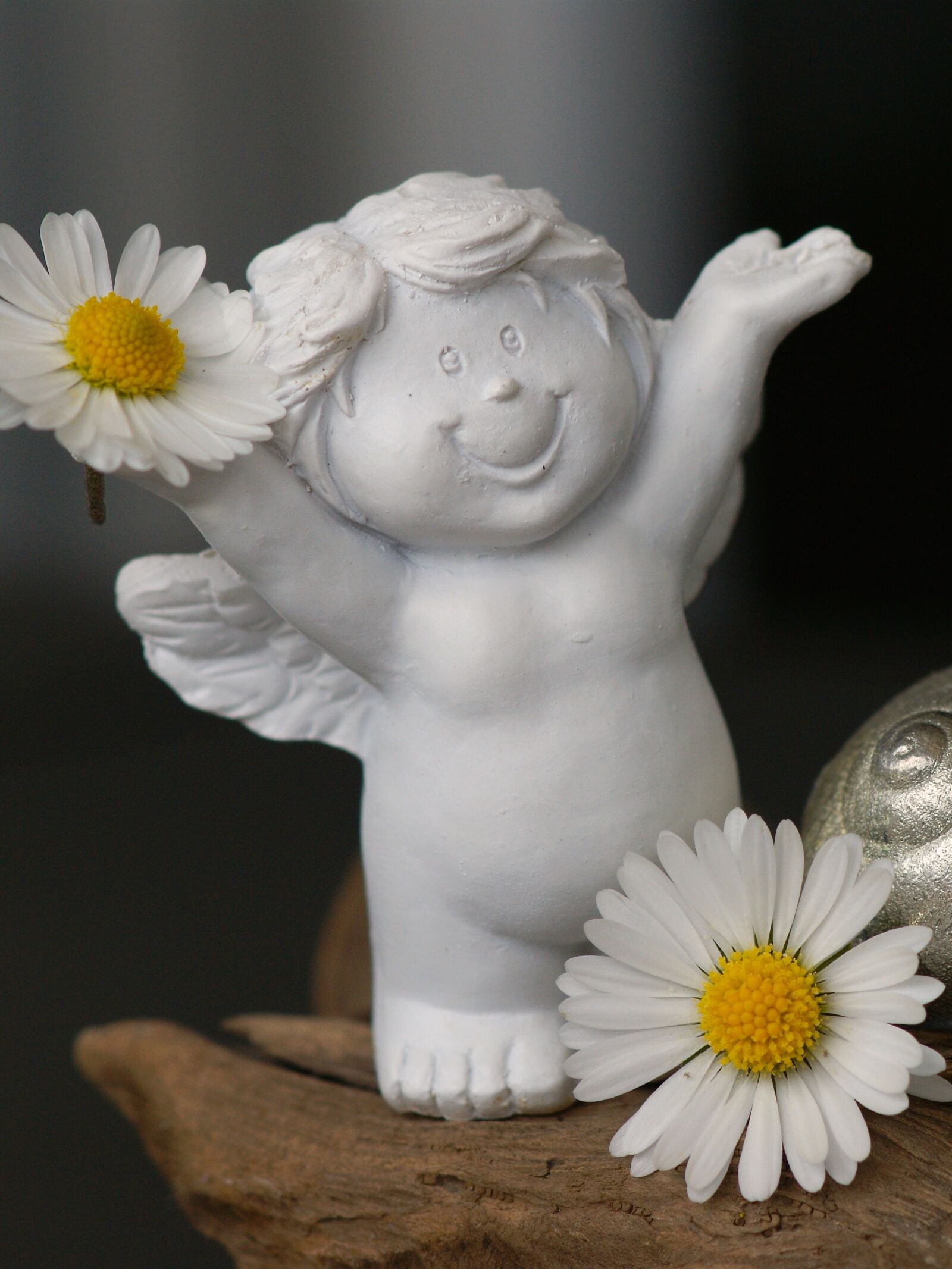 Sony Alpha DSLR-A350 sample photo. Guardian angel, daisy, cheerful photography