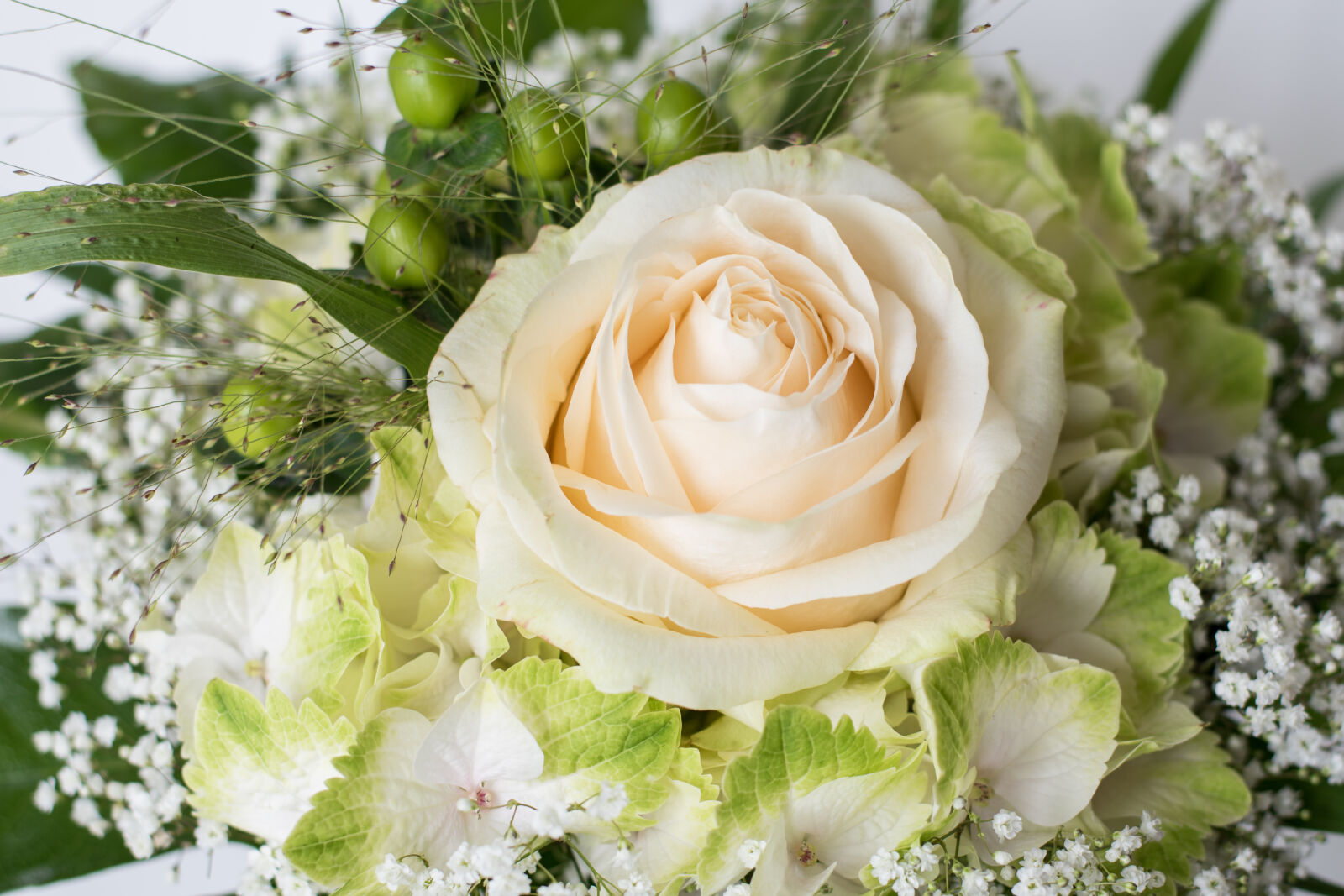 Nikon D5500 + Nikon AF-S Nikkor 50mm F1.8G sample photo. Birthday, flowers, rose, wedding photography