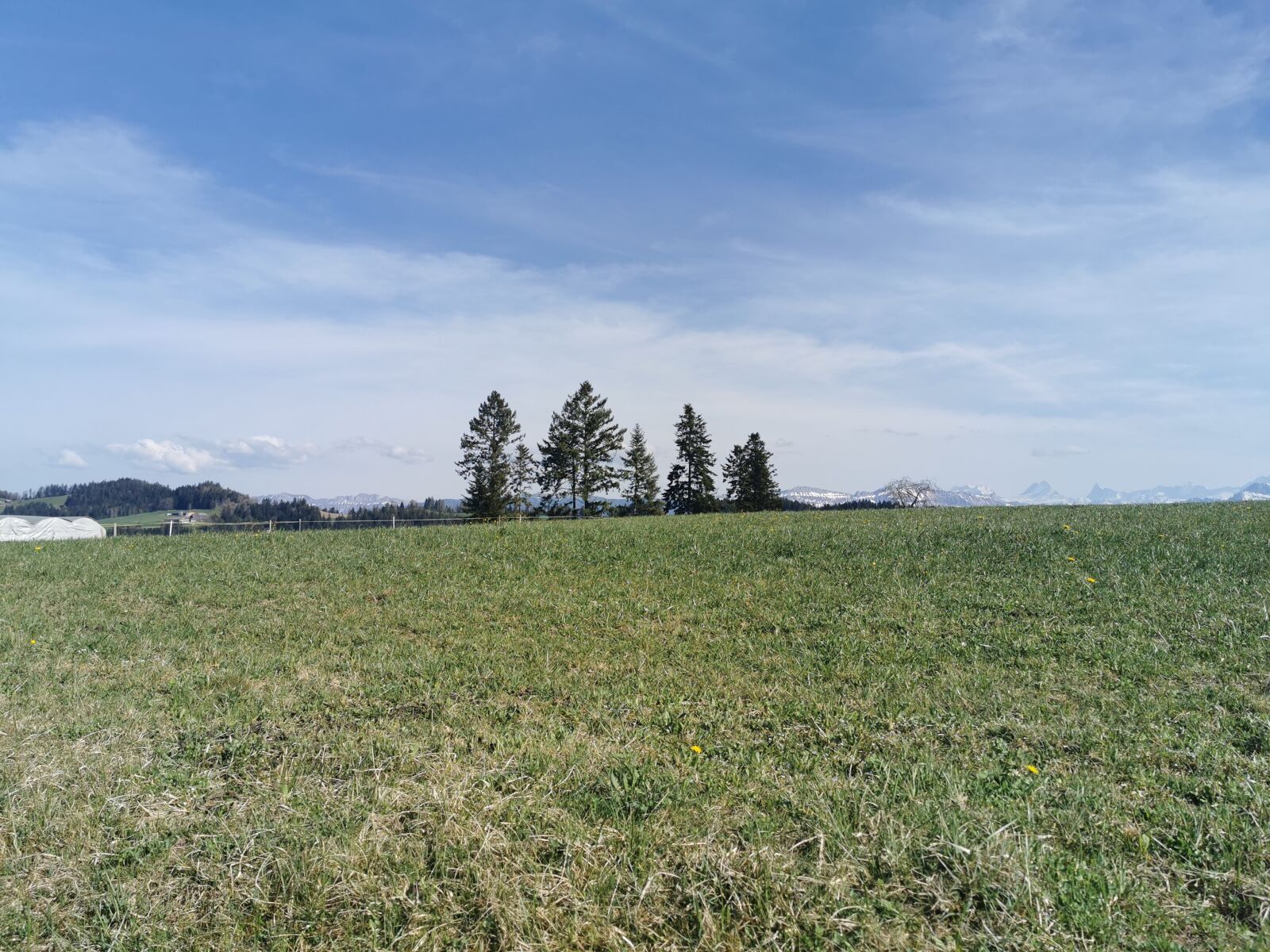HUAWEI P30 Pro sample photo. Scene, green, blue photography