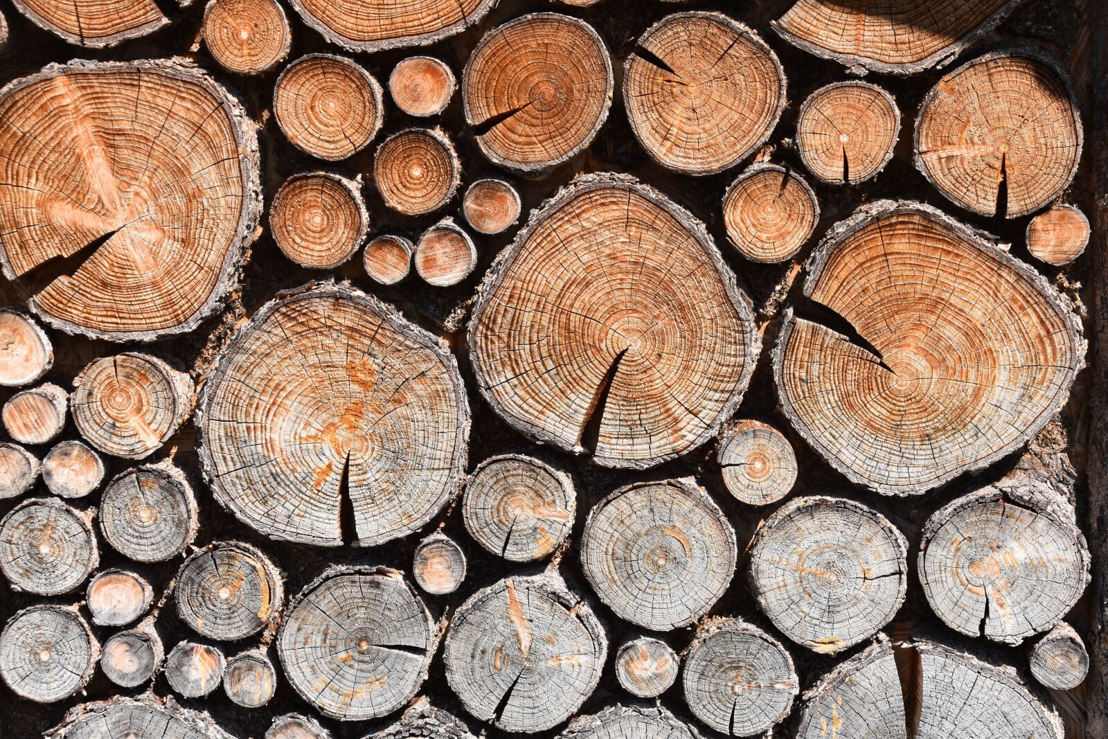 Nikon D5600 sample photo. Wood, stacking wood, wood photography
