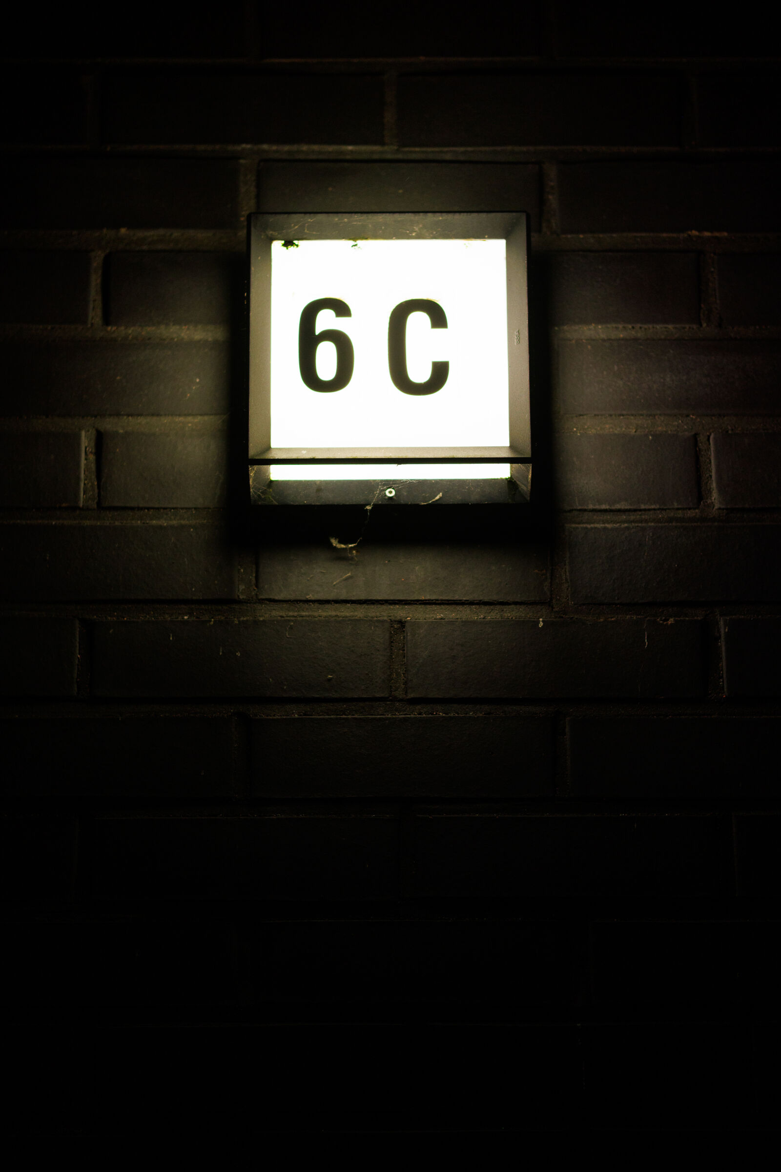 Sigma 56mm F1.4 DC DN | C sample photo. 6c light photography