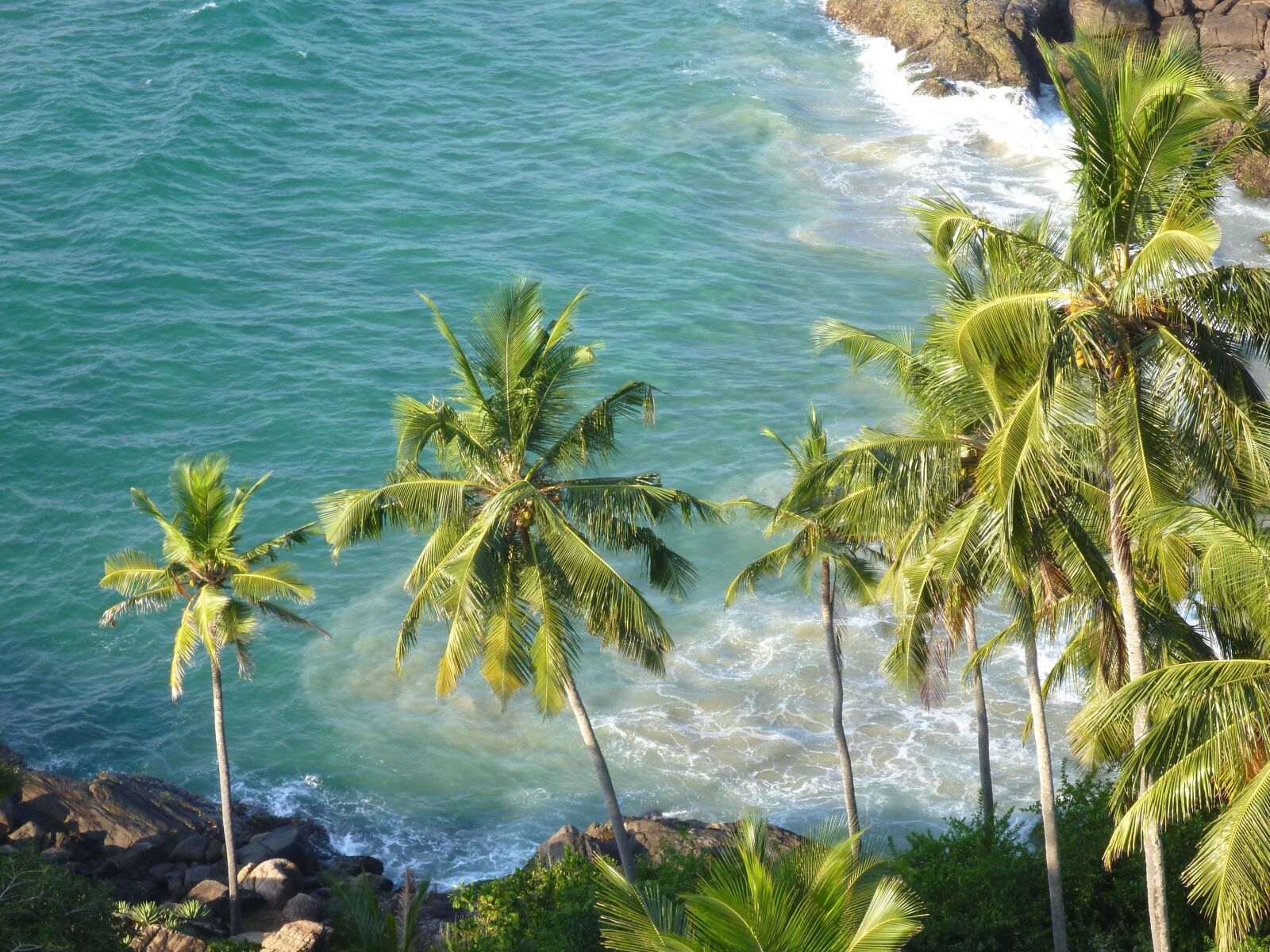 Panasonic DMC-TS2 sample photo. Paradise, sea, coconut, palm photography