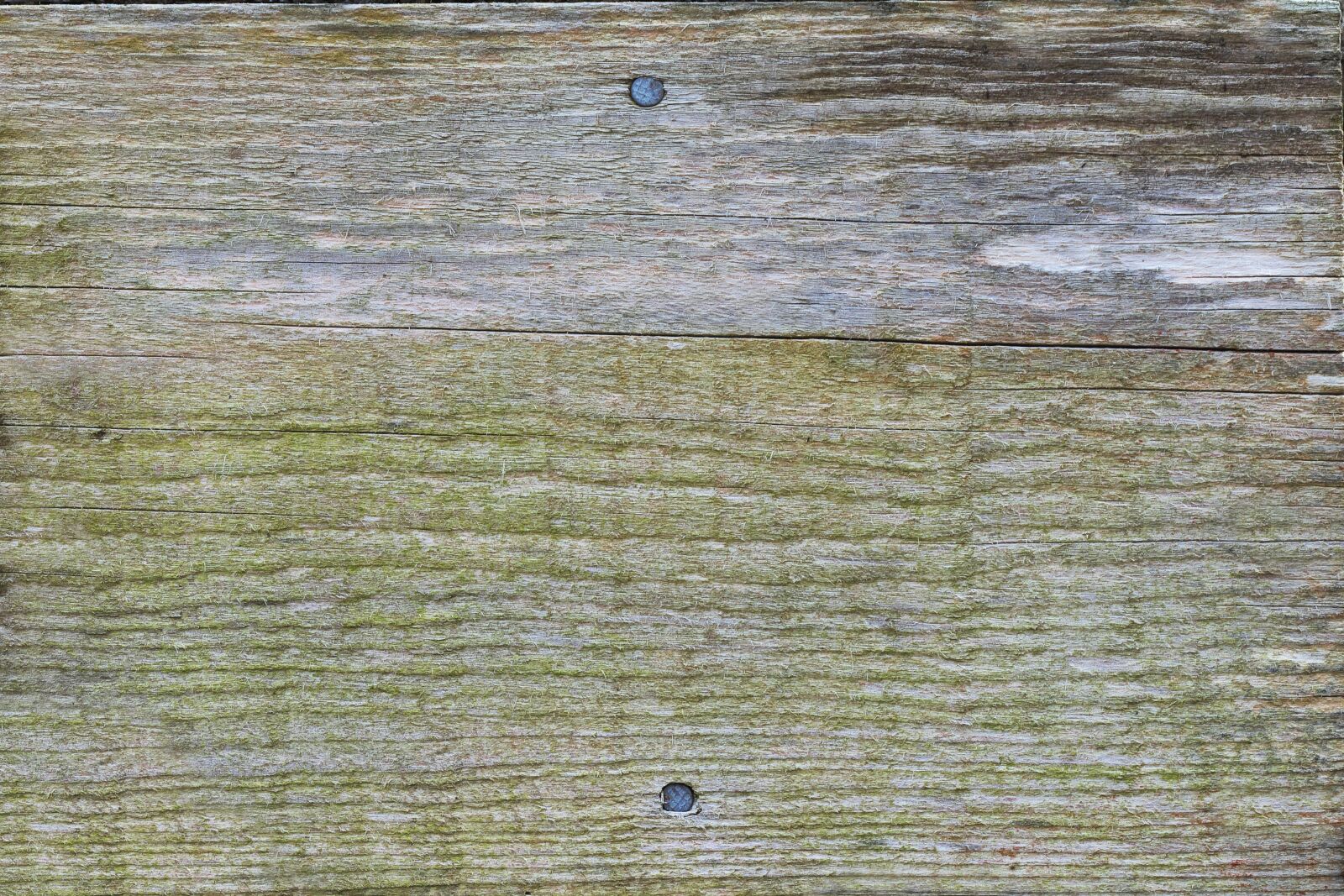 Panasonic Lumix DMC-FZ1000 sample photo. Woods, board, wooden board photography