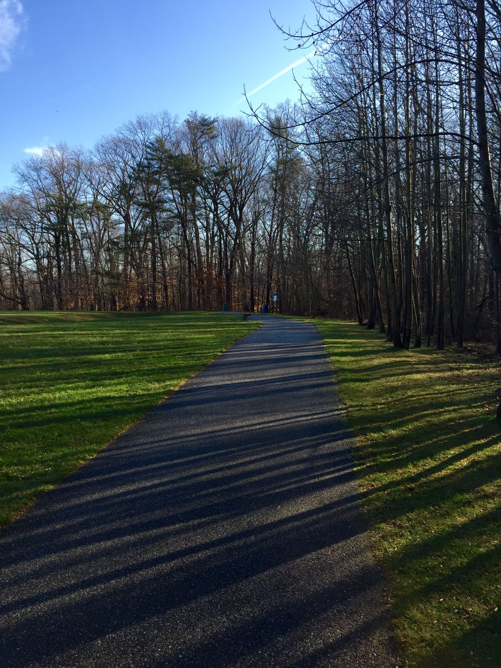 iPhone 6 Plus back camera 4.15mm f/2.2 sample photo. Trail, walking, nature photography