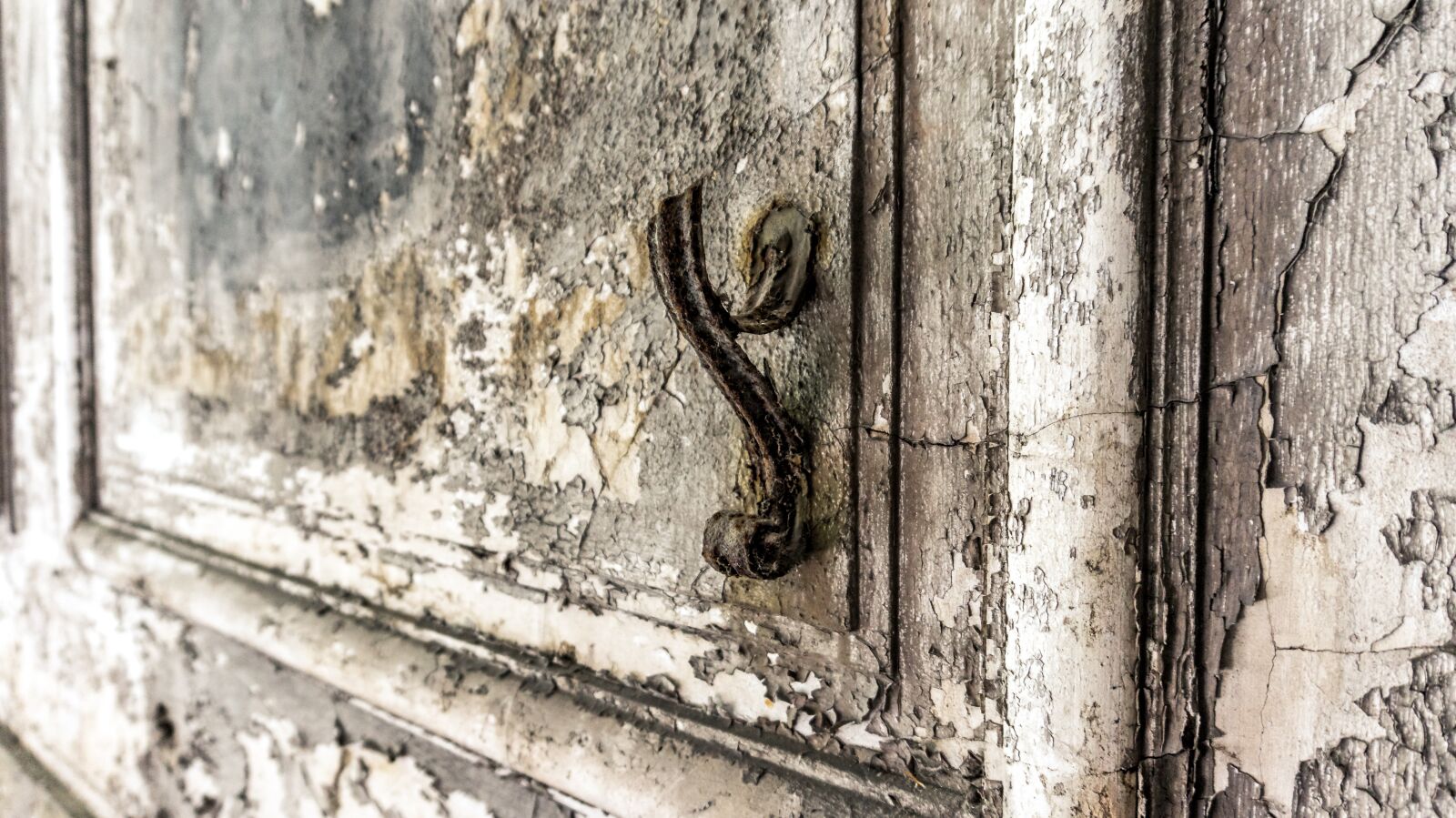 Sony Alpha a5000 (ILCE 5000) sample photo. Old, background, pattern photography