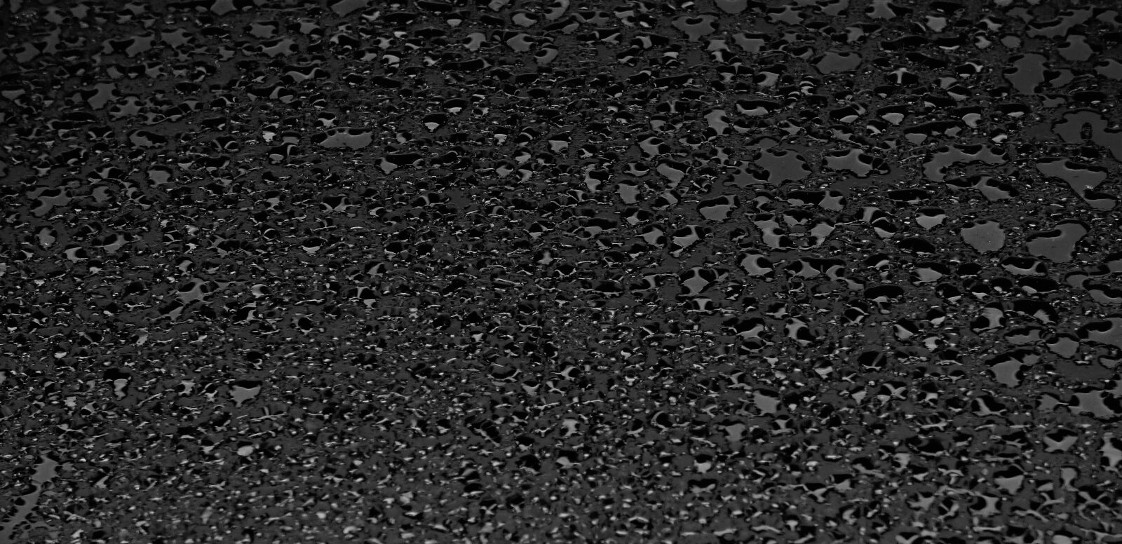 Panasonic DMC-FZ72 sample photo. Raindrop, wet, drop of photography