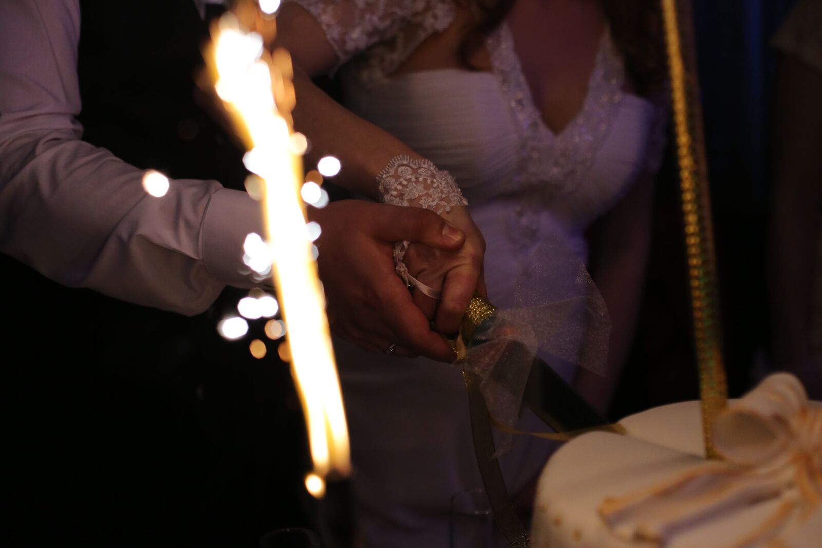 Canon EOS 5D Mark III sample photo. Celebration, ceremony, cutting, event photography