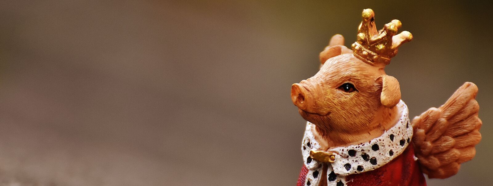Nikon D7200 sample photo. Lucky pig, guardian angel photography