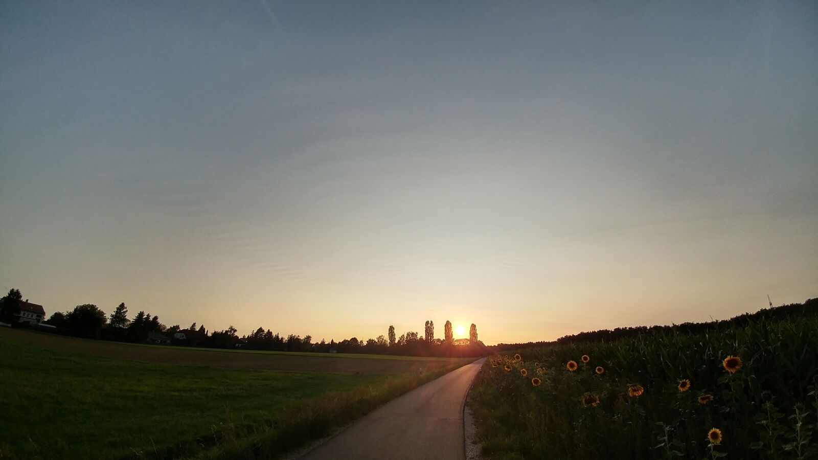 LG G5 sample photo. Sunset, nature, evening sky photography