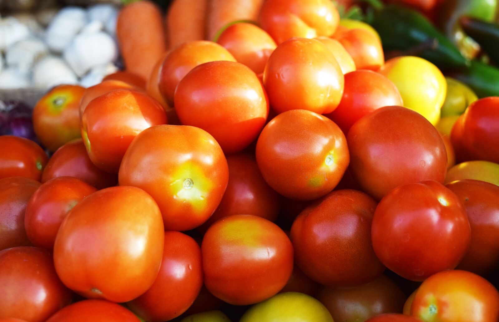 Nikon D3300 sample photo. Tomato, tomatoes, food photography