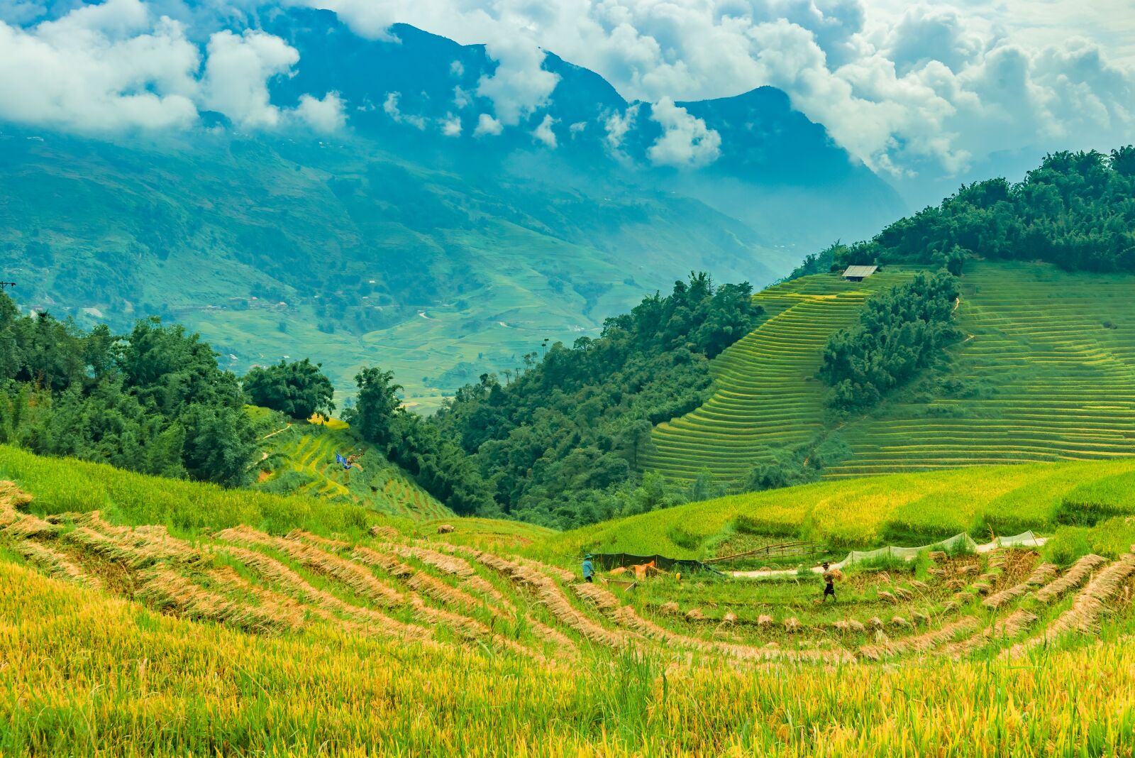 Nikon D750 sample photo. Terraces, vietnam, silk photography
