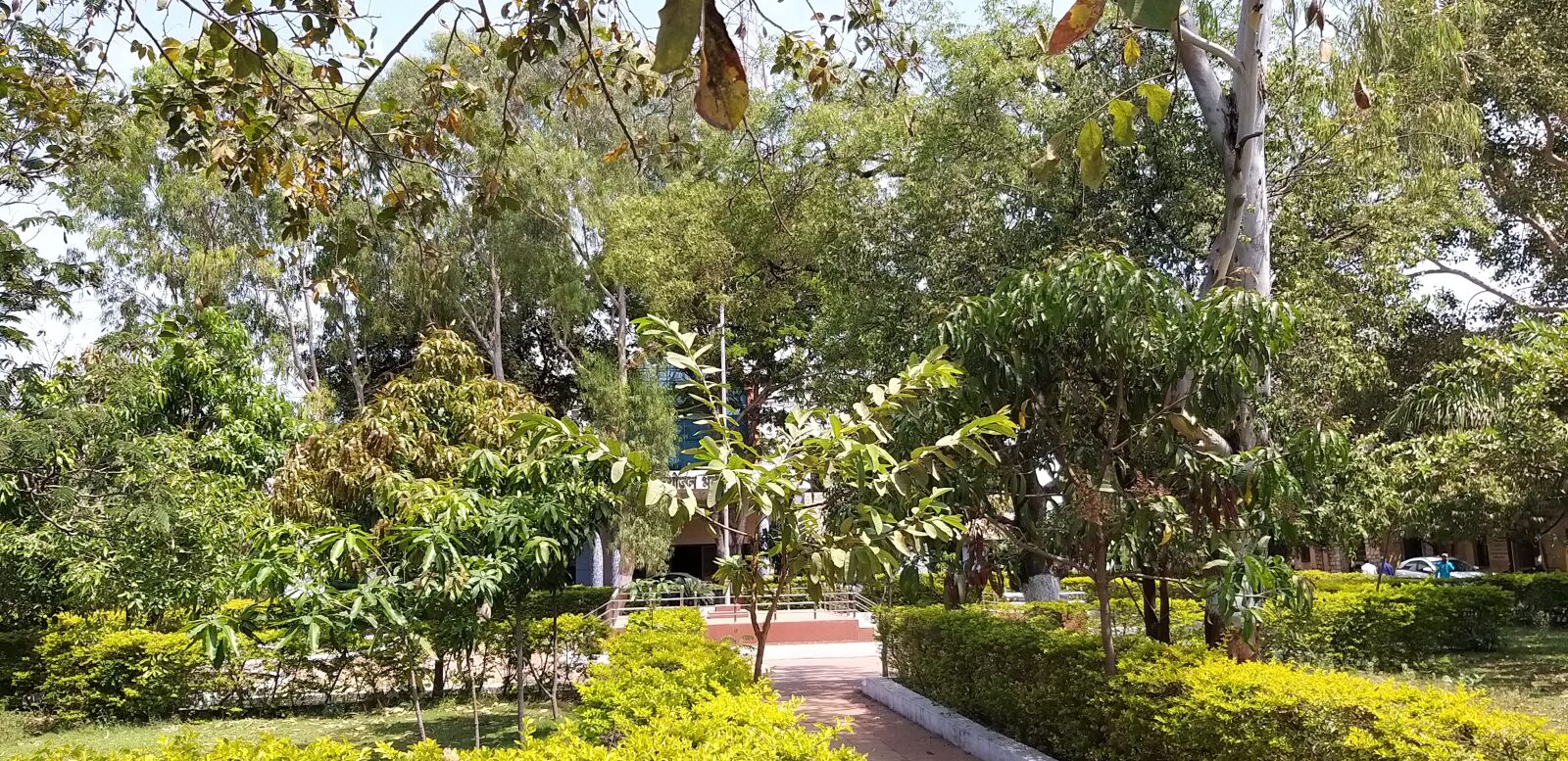 Samsung Galaxy A9 (2018) sample photo. Garden, green, nature photography