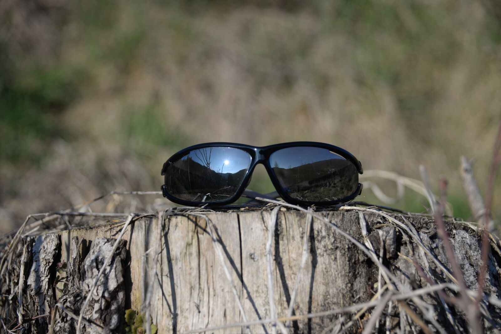 Nikon D610 sample photo. Sunglasses, tree stump, mirroring photography