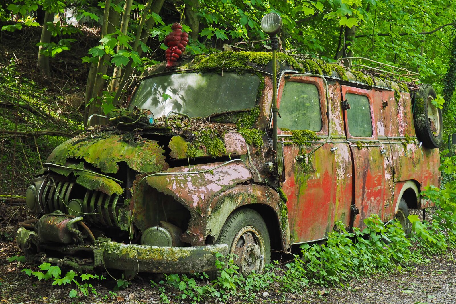 Olympus OM-D E-M10 sample photo. Auto, car cemetery, oldtimer photography