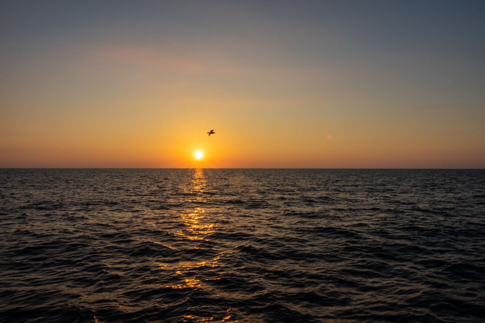 Sony Cyber-shot DSC-RX10 III sample photo. Sunset, sea, sun photography