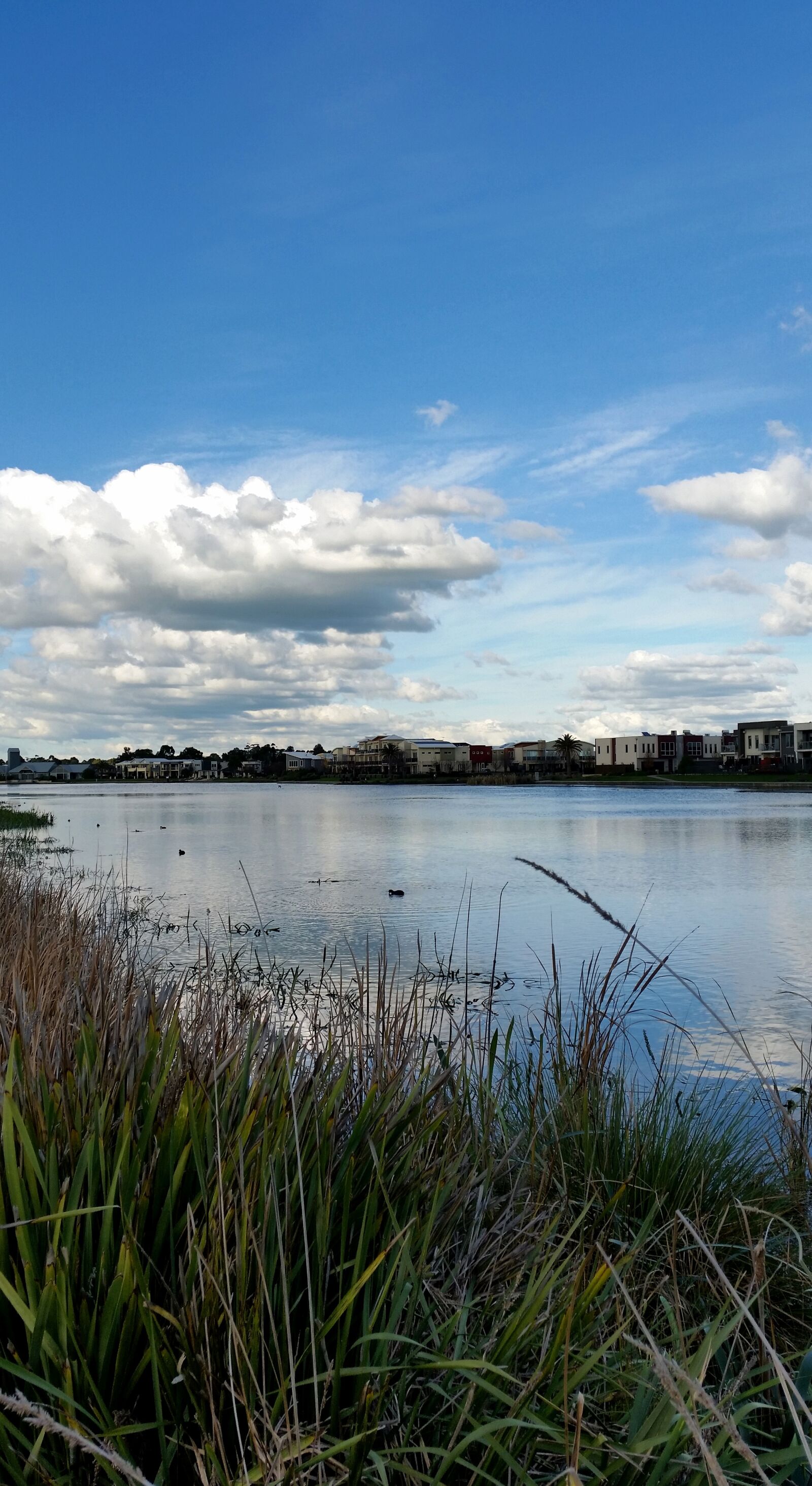 Samsung Galaxy S5 sample photo. Urban, suburban, lakeside photography