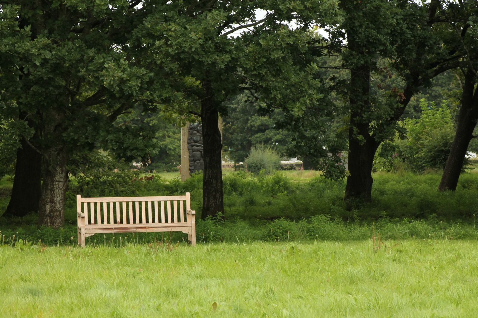 Canon EF 75-300mm f/4-5.6 sample photo. Bench, nature, outdoor photography