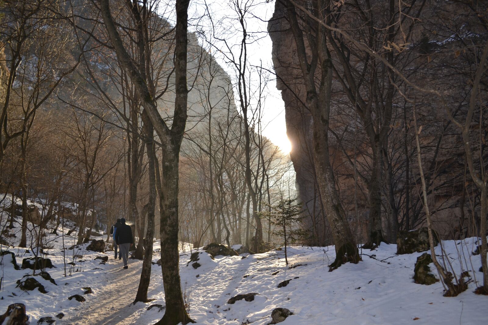 Nikon D3100 sample photo. Forest, mountains, winter photography