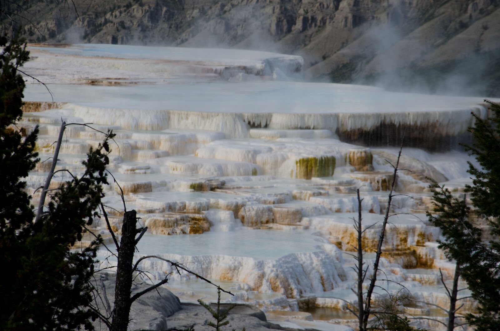 Nikon D7000 sample photo. Yellowstone, scenic, mammoth hot photography