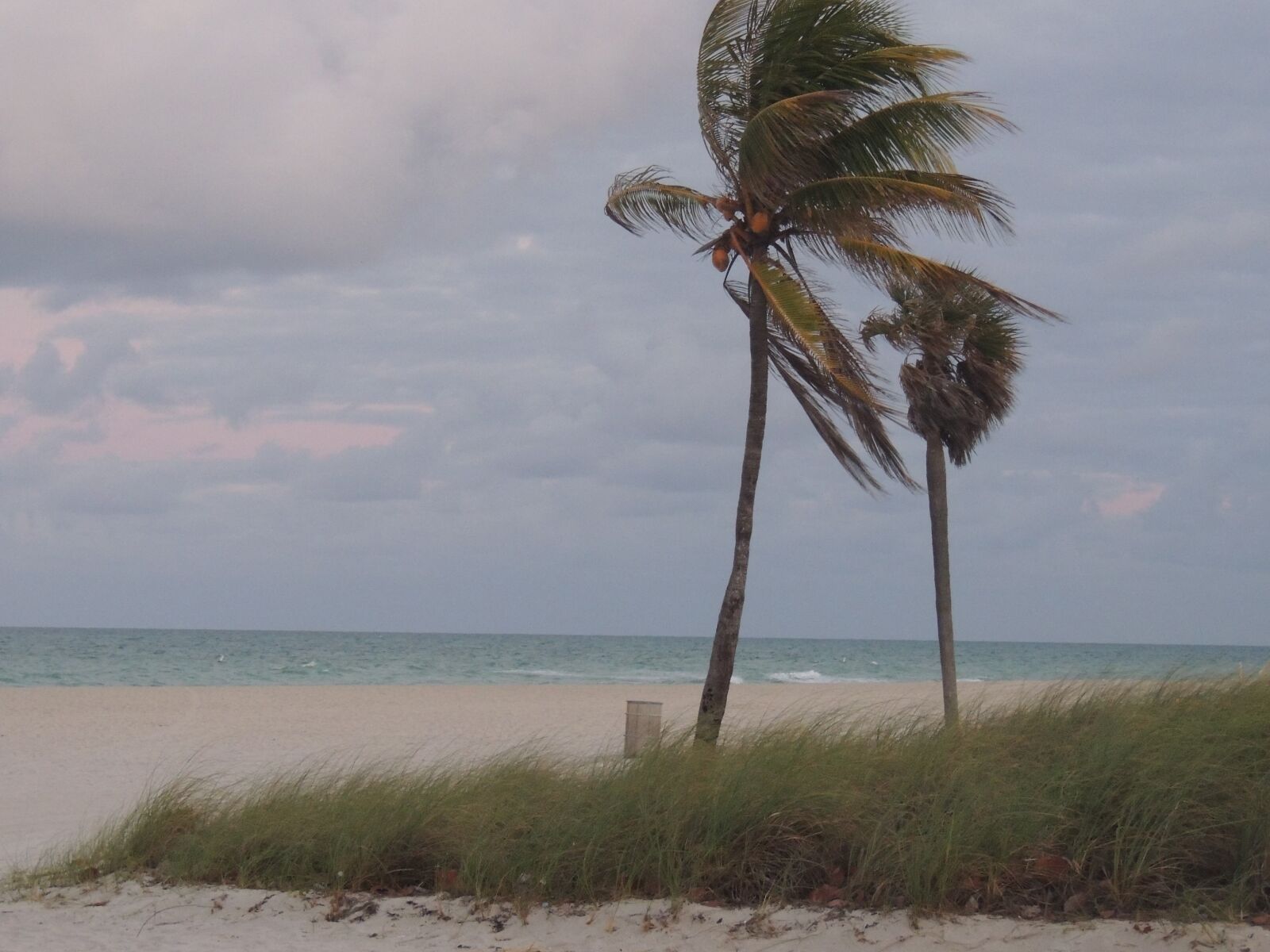 Nikon Coolpix P510 sample photo. Miami, beach, florida photography