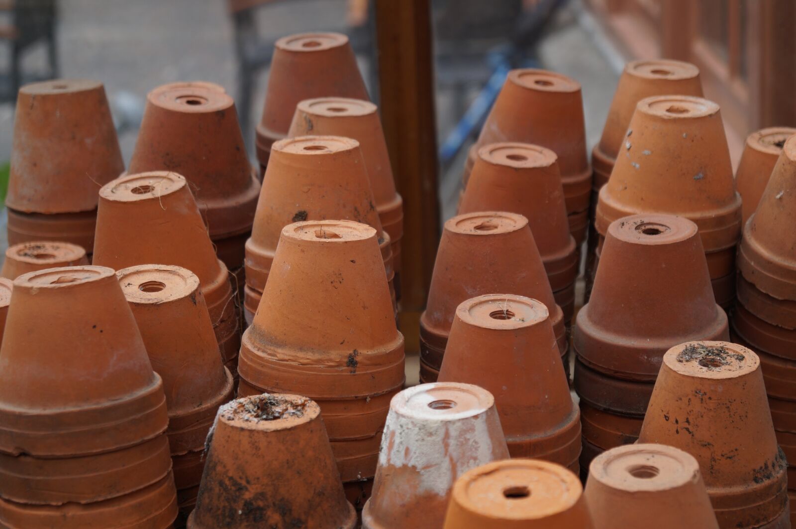 Sony SLT-A58 sample photo. Flower pots, flower pot photography