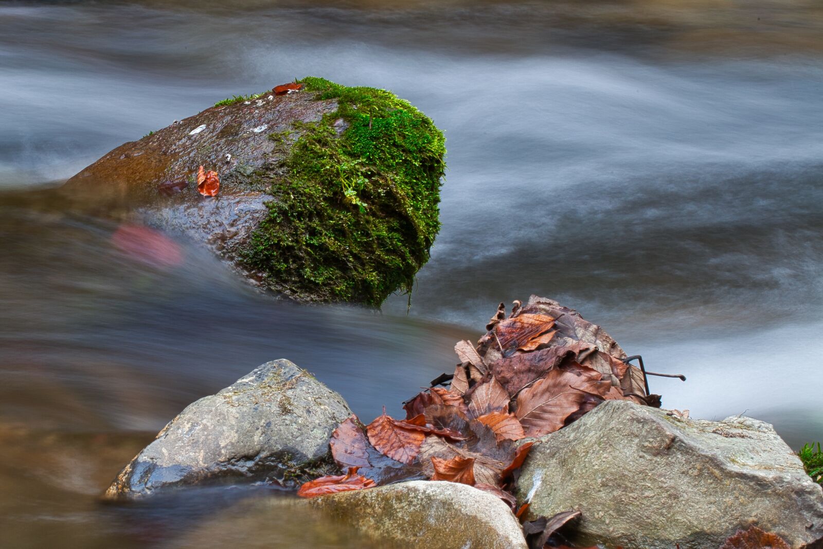 Canon EOS 5D Mark II sample photo. Water, stone, bach photography
