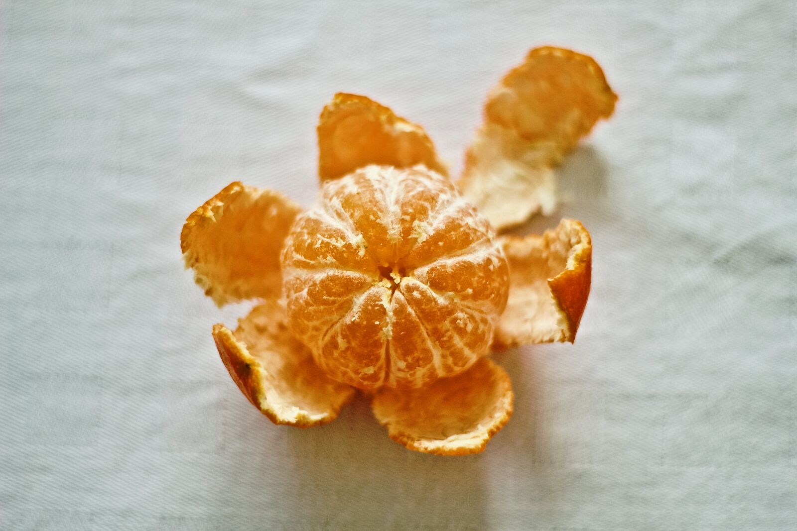 Canon EOS 550D (EOS Rebel T2i / EOS Kiss X4) sample photo. Orange, fruit, fine photography